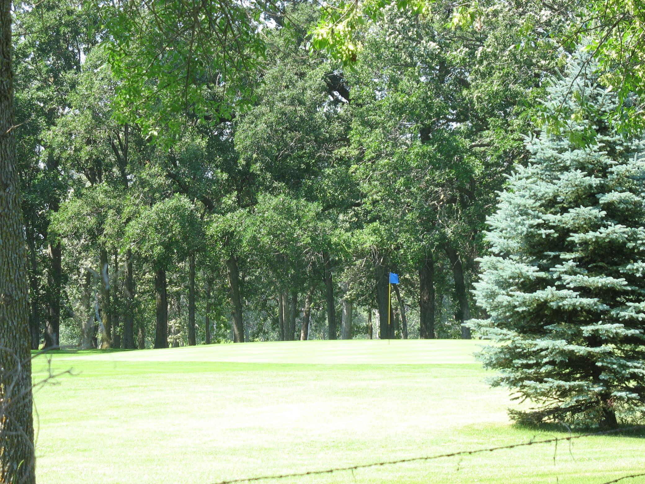 land for sale at Lot9 Blk1 285th Street in Battle Lake, MN (photo 7 of 10)