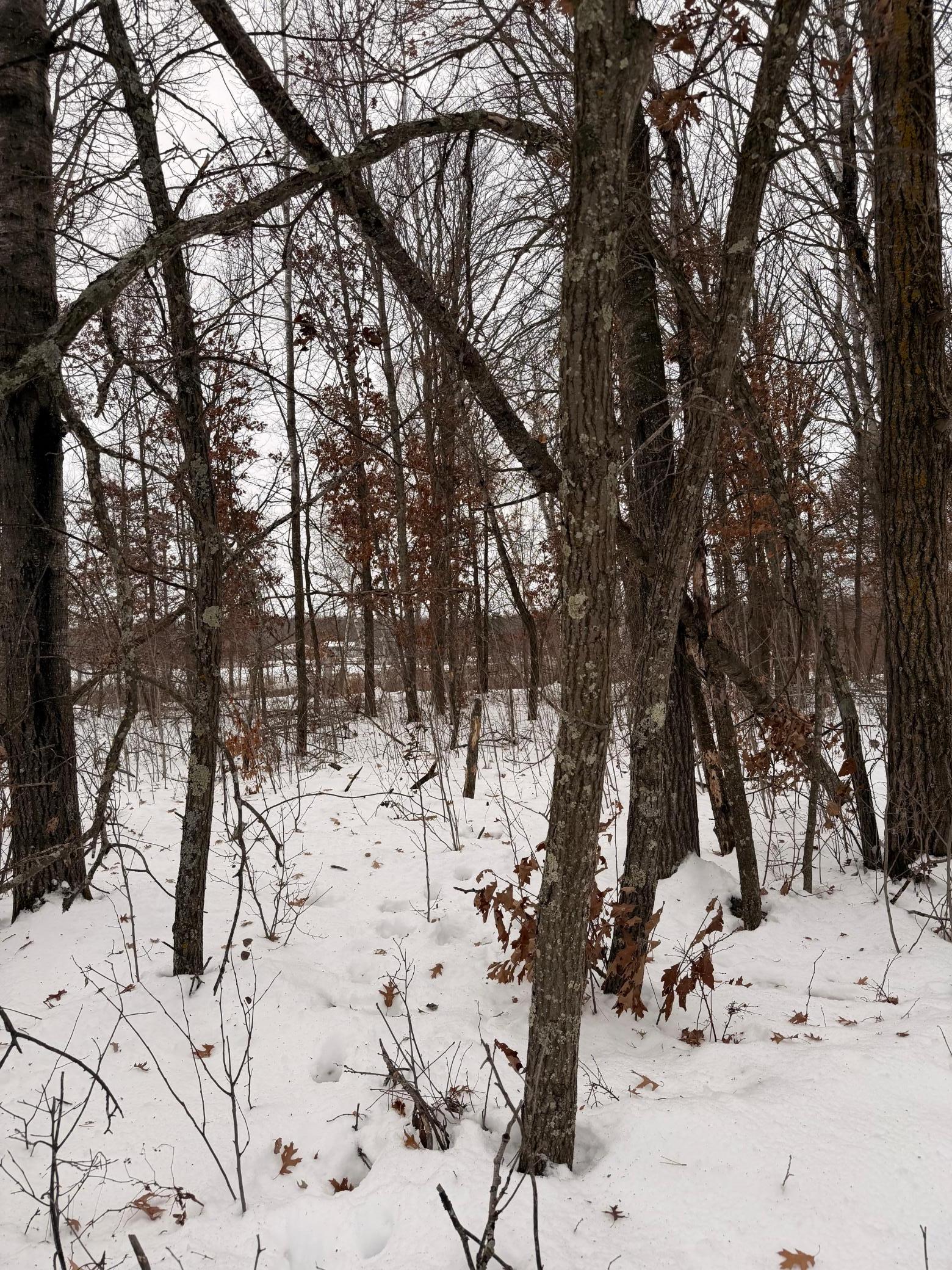 Lot C Sandbar Lane, Merrifield MN 56465 - Photo 16 of 24