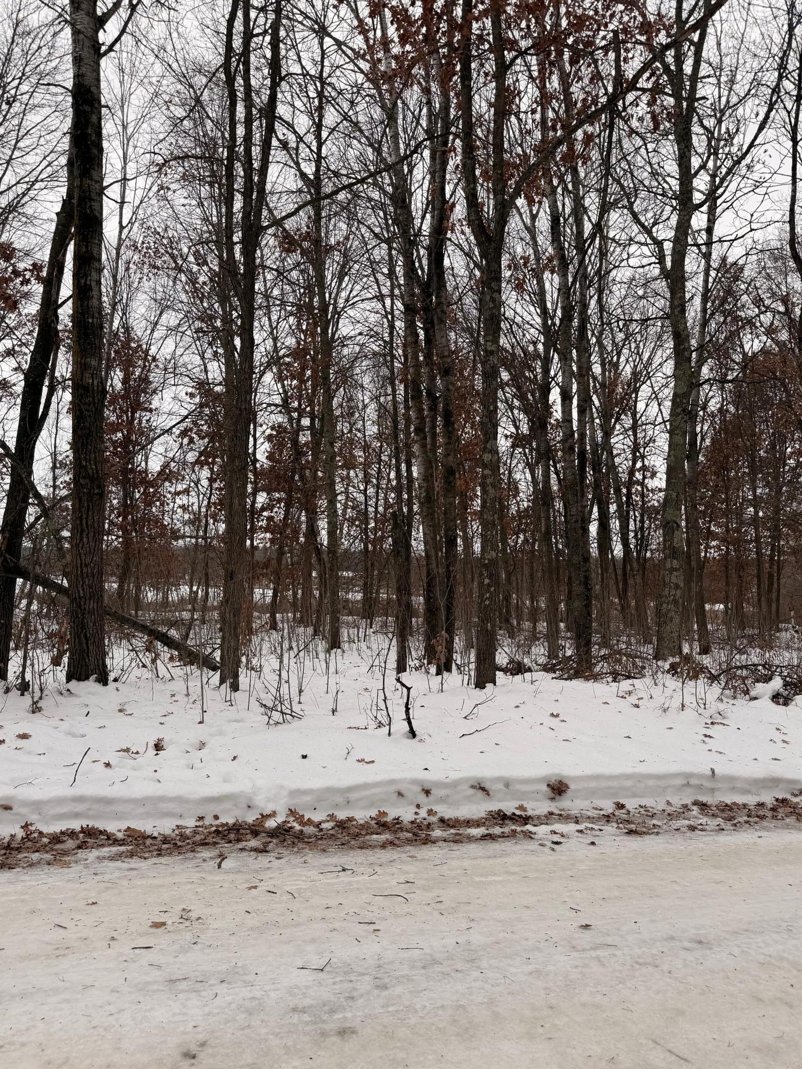 Lot C Sandbar Lane, Merrifield MN 56465 - Photo 19 of 24