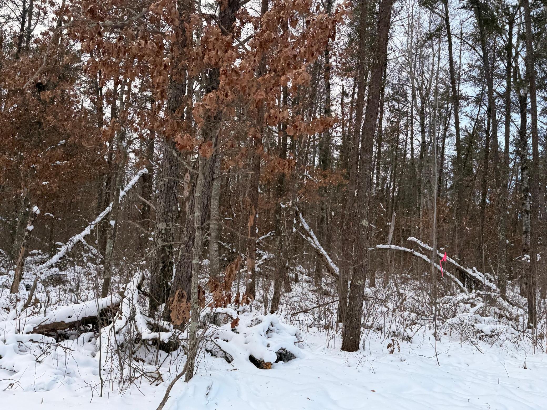 Lot C Sandbar Lane, Merrifield MN 56465 - Photo 20 of 24
