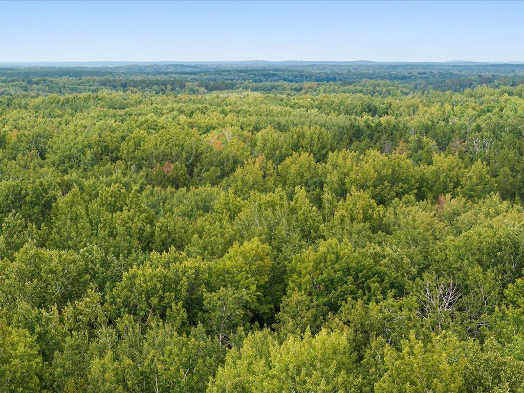 Lot C Sandbar Lane, Merrifield MN 56465 - Photo 4 of 24