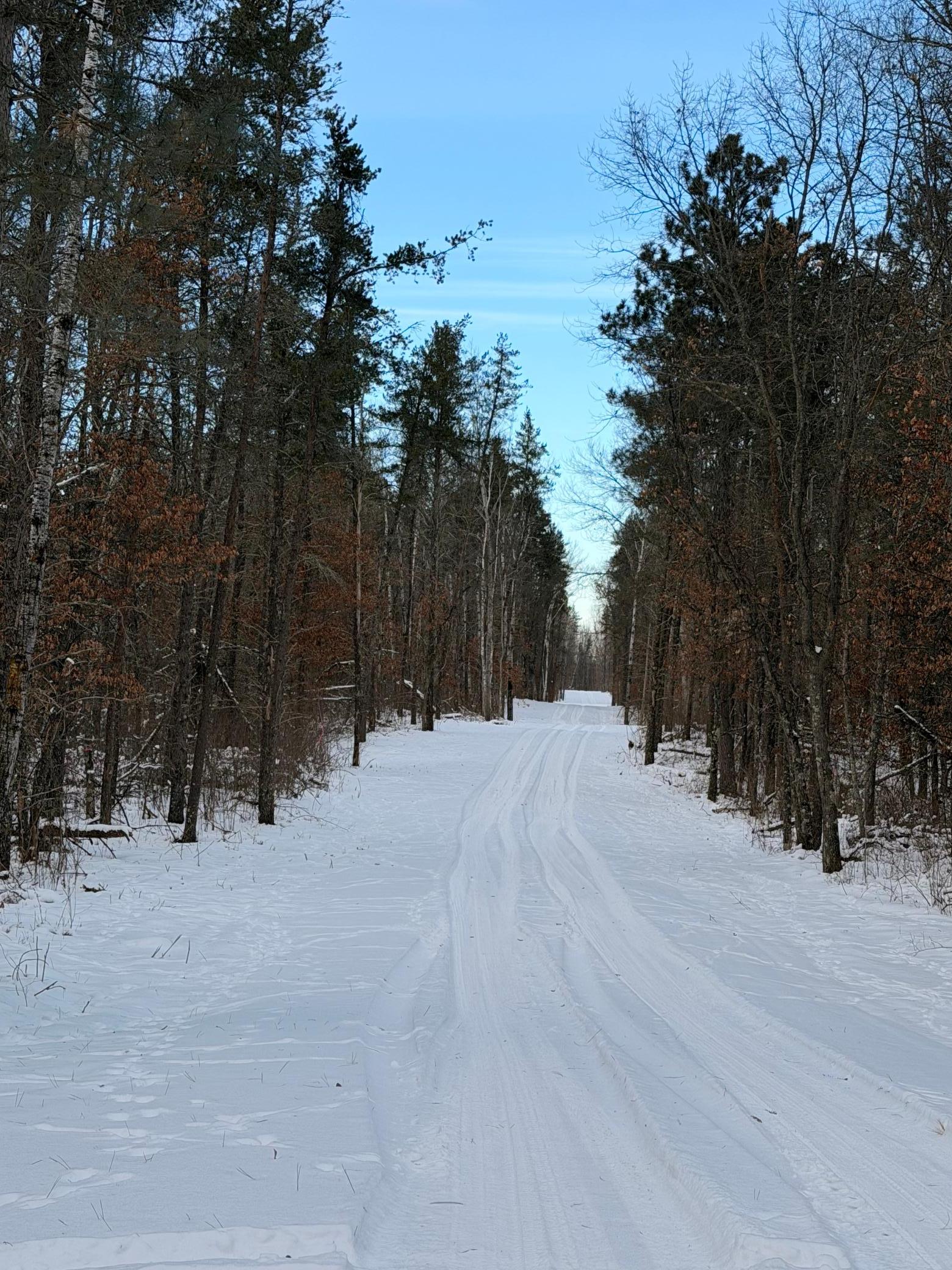 Lot E Sandbar Lane, Merrifield MN 56465 - Photo 18 of 24