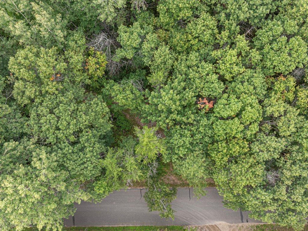 Lot E Sandbar Lane, Merrifield MN 56465 - Photo 3 of 24