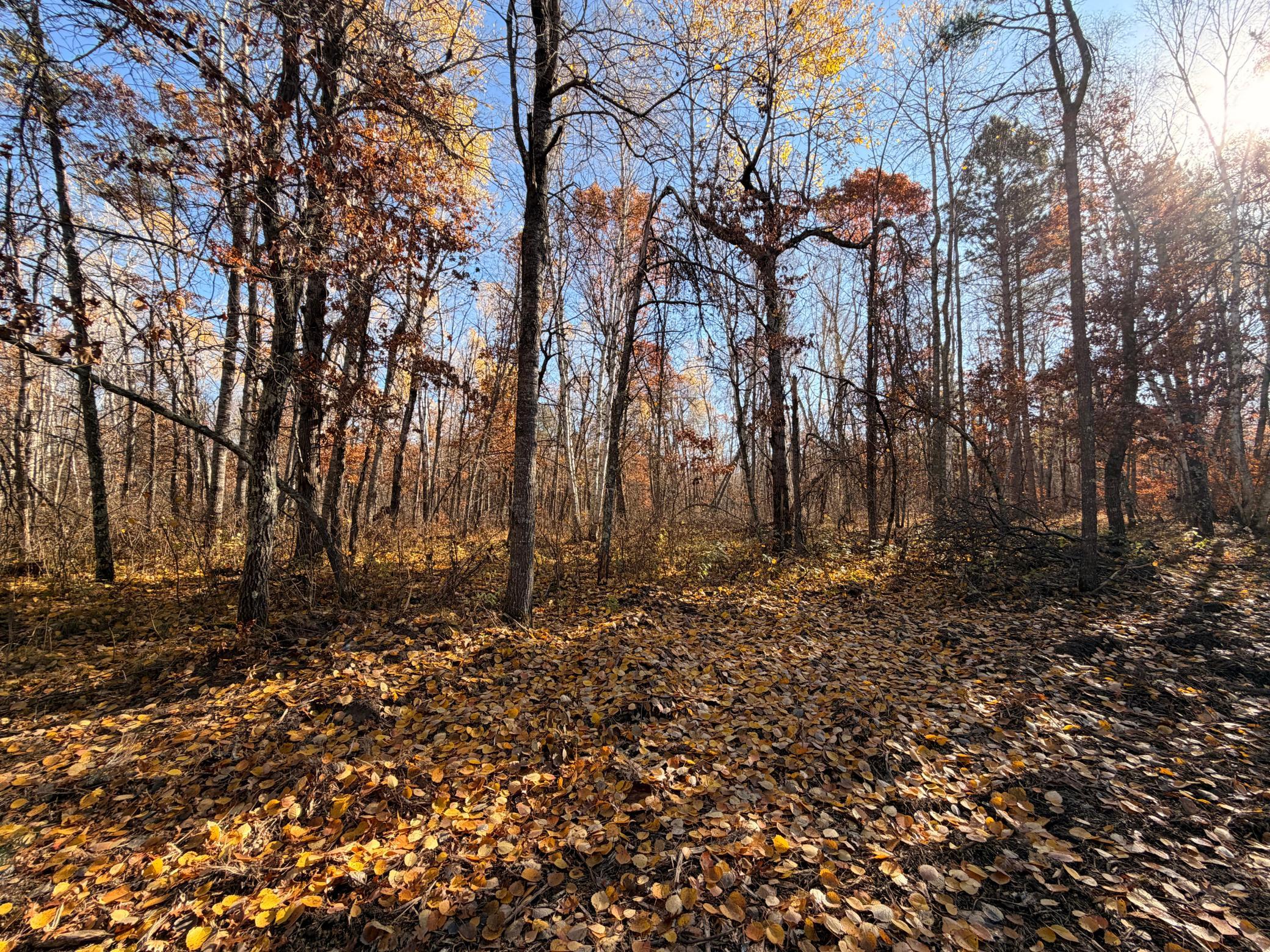 Lot E Sandbar Lane, Merrifield MN 56465 - Photo 23 of 24