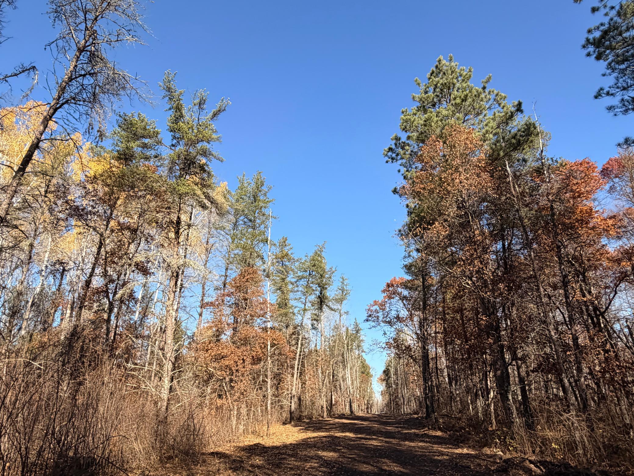 Lot E Sandbar Lane, Merrifield MN 56465 - Photo 24 of 24