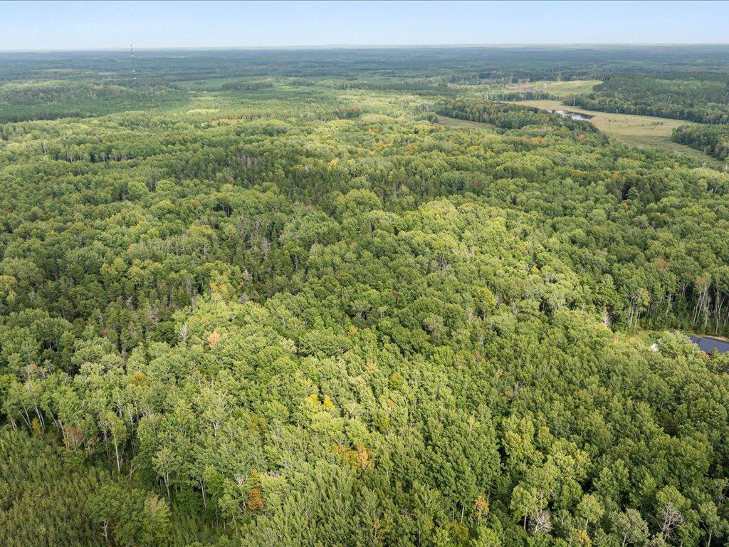 Lot E Sandbar Lane, Merrifield MN 56465 - Photo 7 of 24