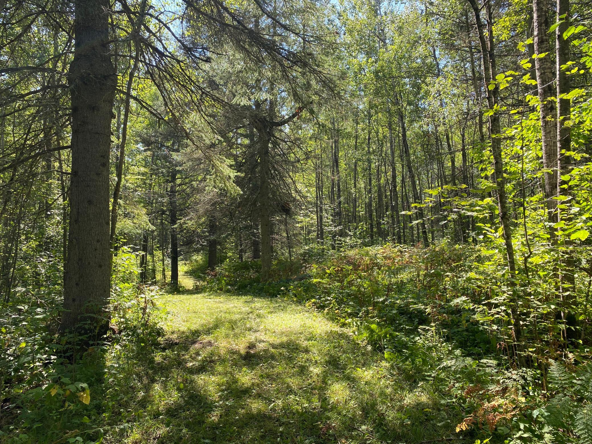 land for sale at TBD Buck Dr. in Bovey, MN (photo 12 of 33)