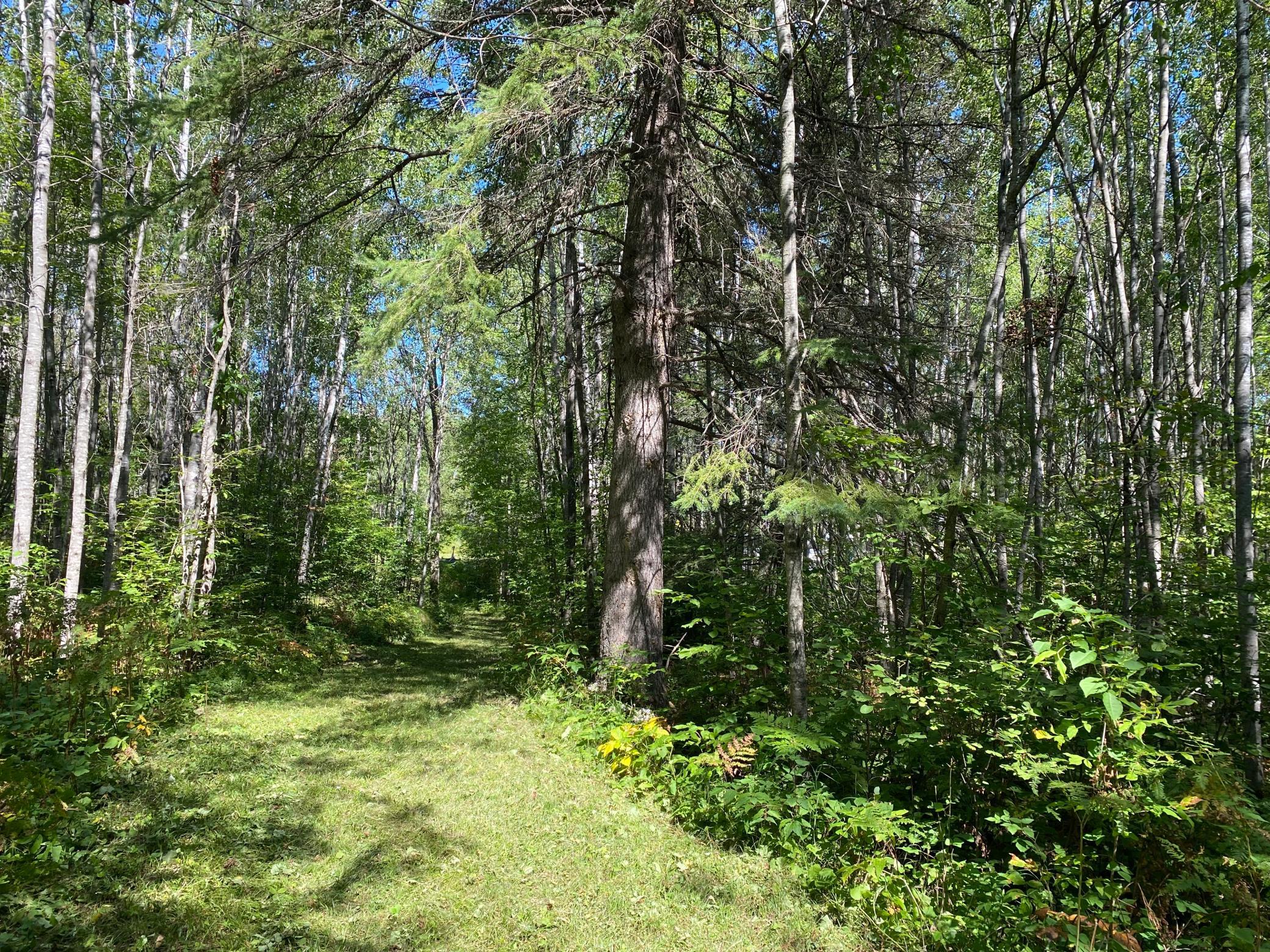 land for sale at TBD Buck Dr. in Bovey, MN (photo 15 of 33)
