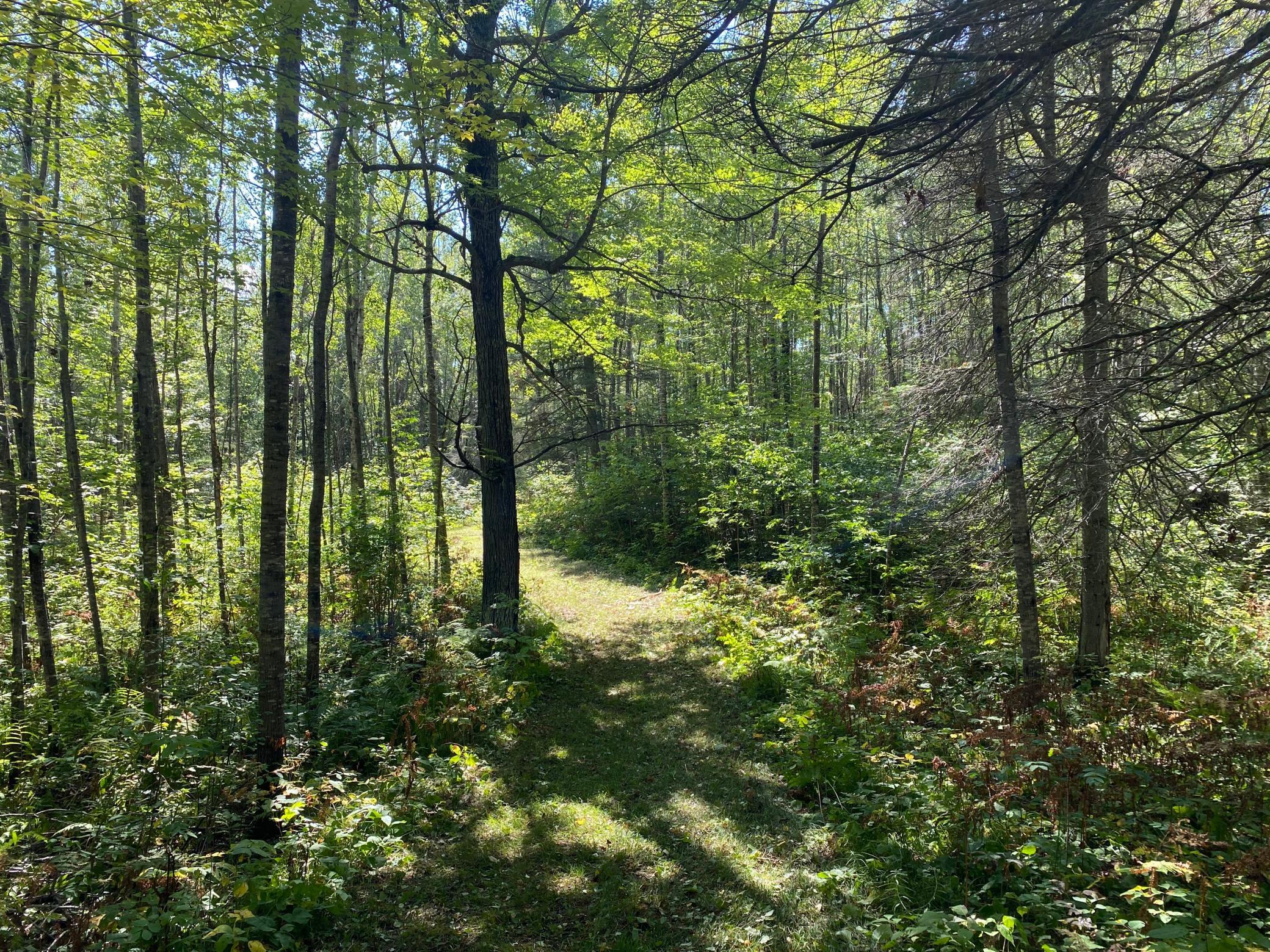 land for sale at TBD Buck Dr. in Bovey, MN (photo 16 of 33)