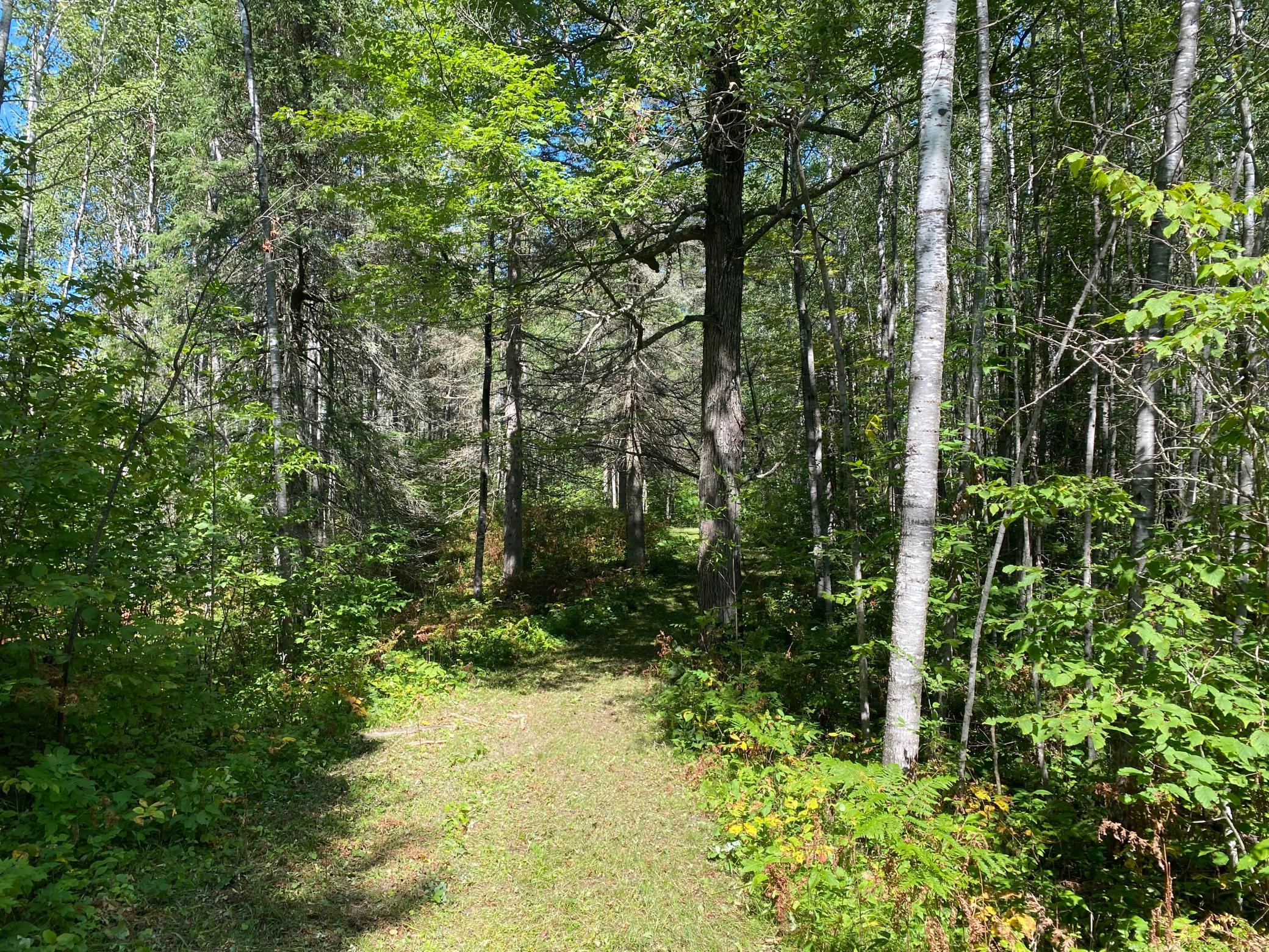land for sale at TBD Buck Dr. in Bovey, MN (photo 18 of 33)