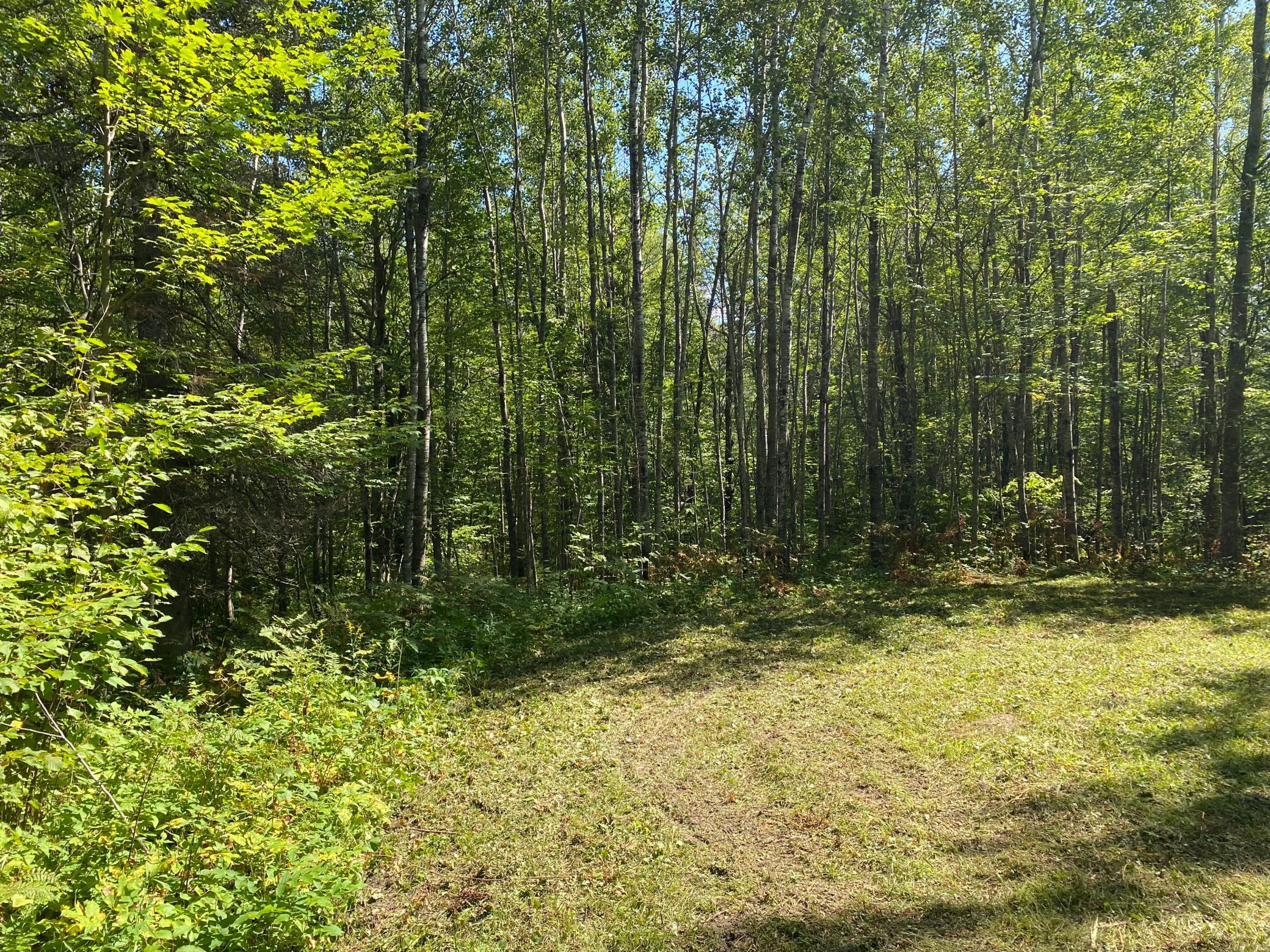 land for sale at TBD Buck Dr. in Bovey, MN (photo 19 of 33)