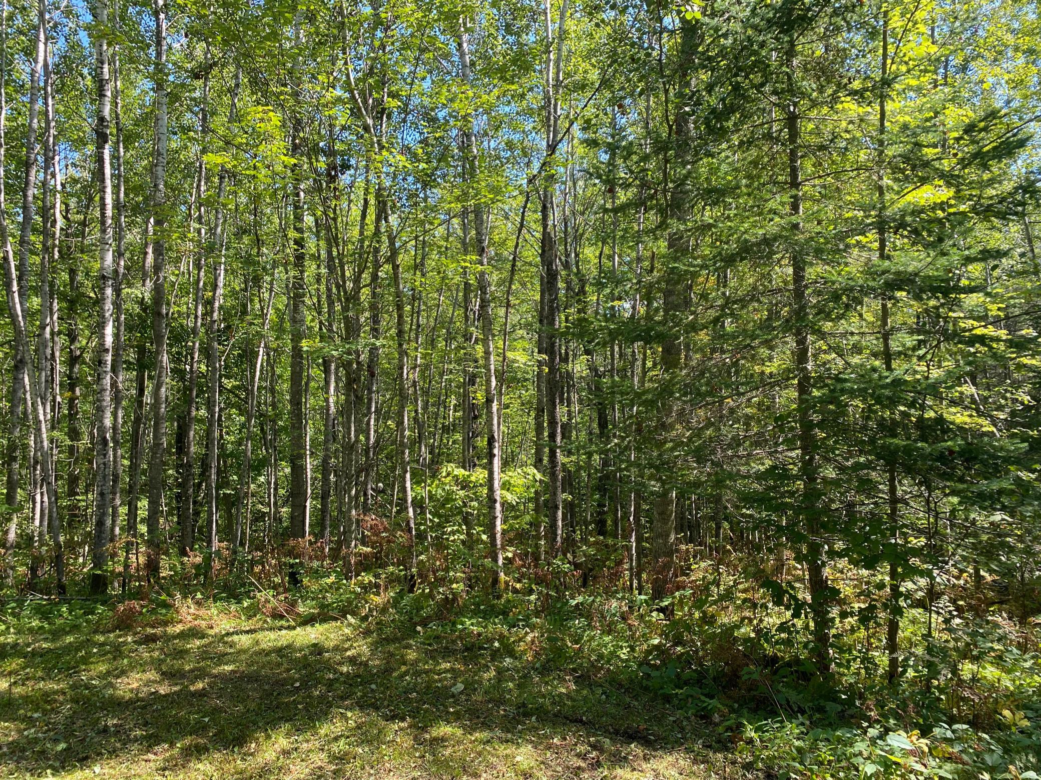 land for sale at TBD Buck Dr. in Bovey, MN (photo 22 of 33)