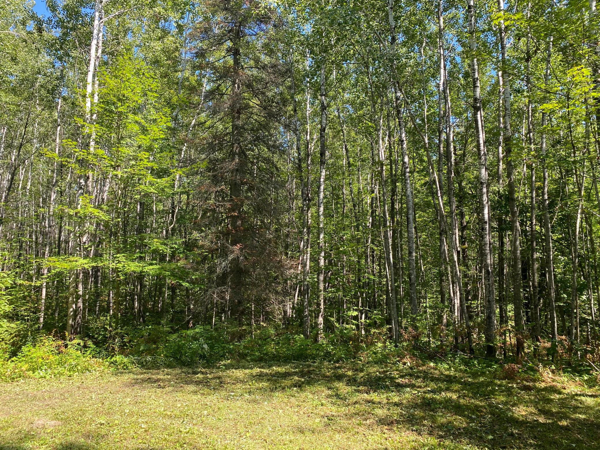 land for sale at TBD Buck Dr. in Bovey, MN (photo 23 of 33)