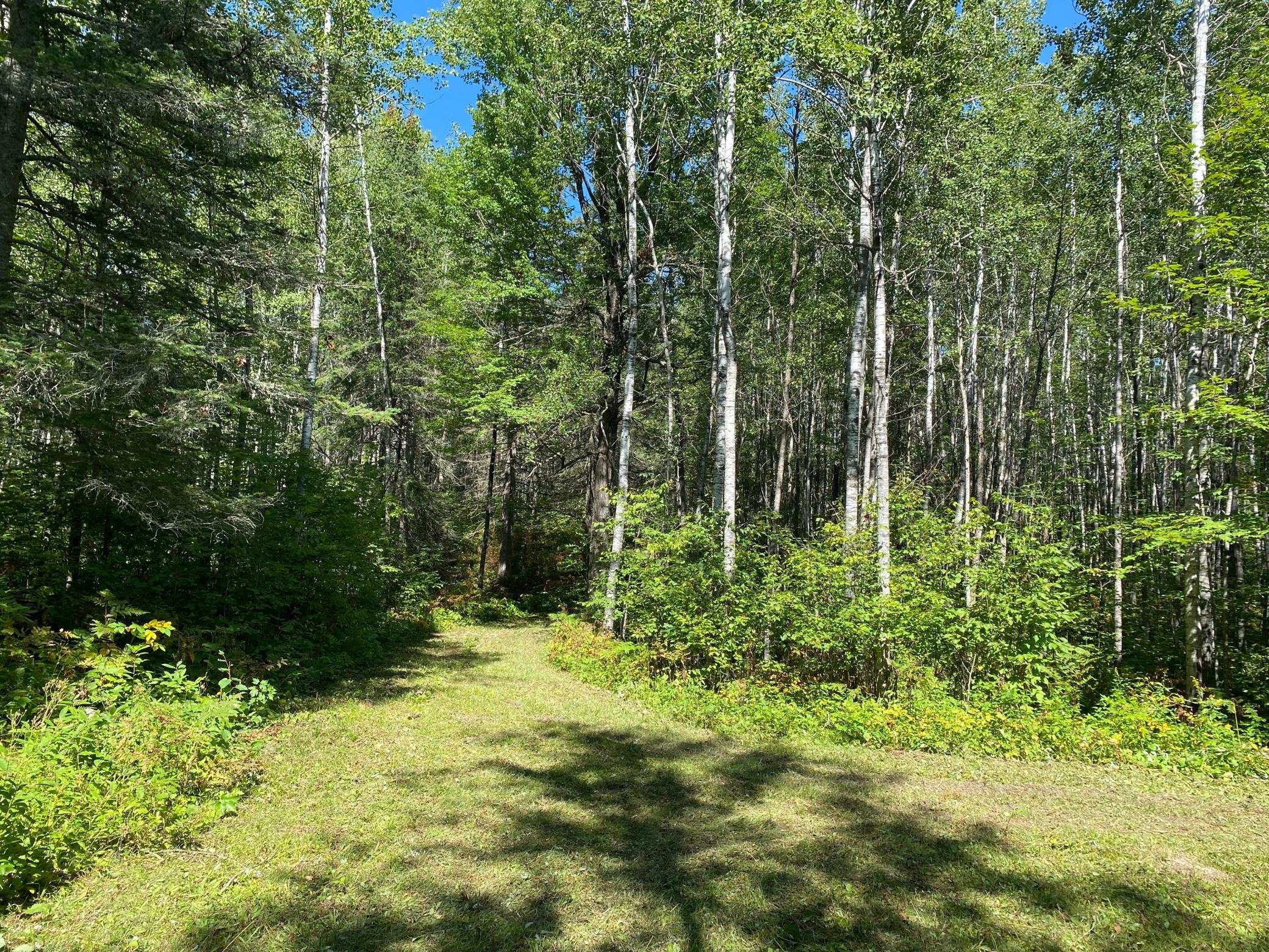 land for sale at TBD Buck Dr. in Bovey, MN (photo 24 of 33)
