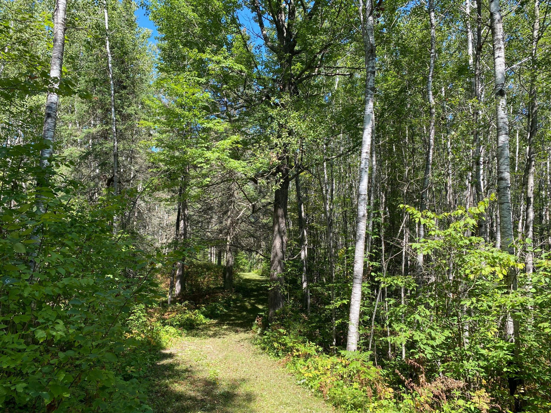land for sale at TBD Buck Dr. in Bovey, MN (photo 26 of 33)