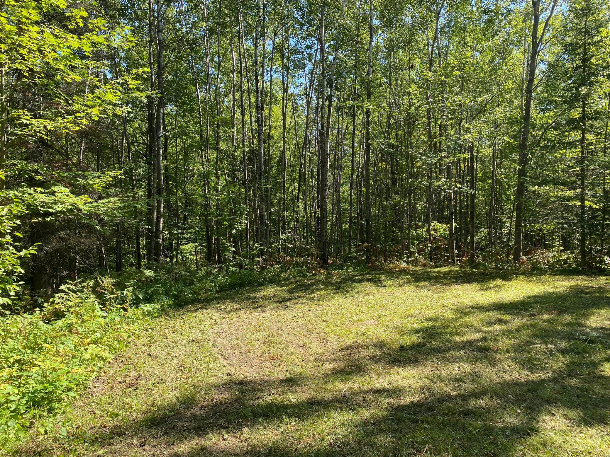 land for sale at TBD Buck Dr. in Bovey, MN (photo 27 of 33)