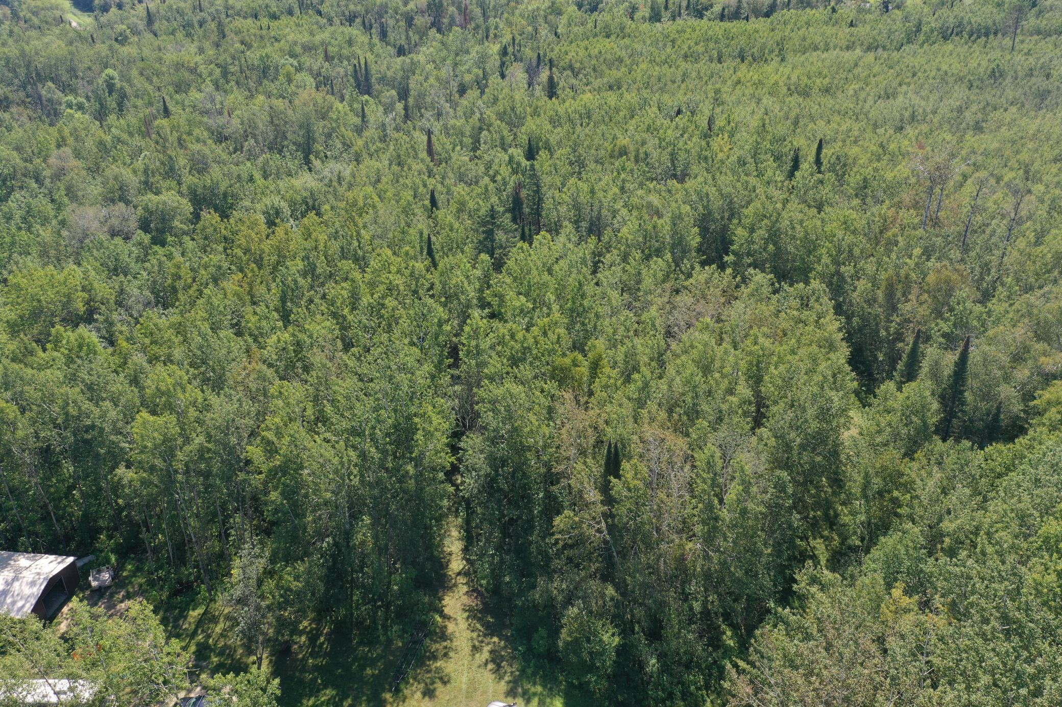 land for sale at TBD Buck Dr. in Bovey, MN (photo 5 of 33)