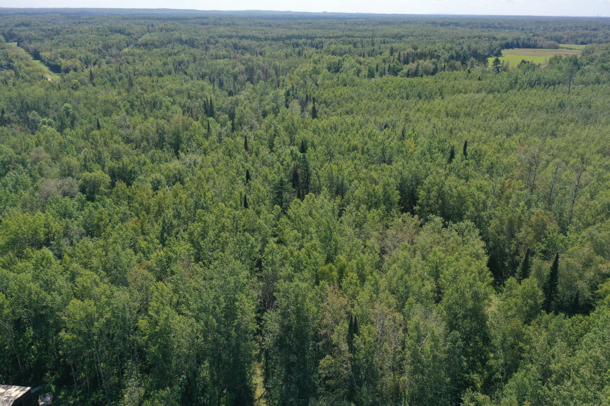 land for sale at TBD Buck Dr. in Bovey, MN (photo 6 of 33)