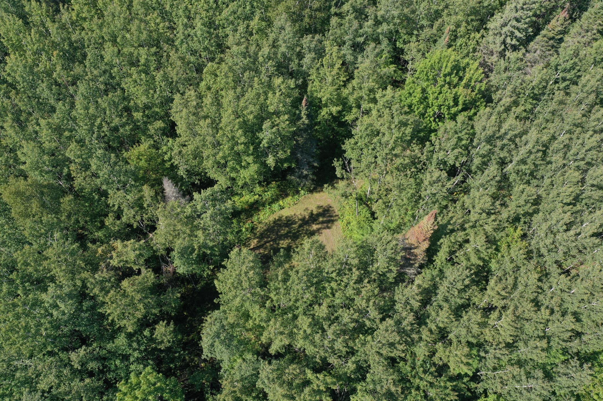 land for sale at TBD Buck Dr. in Bovey, MN (photo 7 of 33)