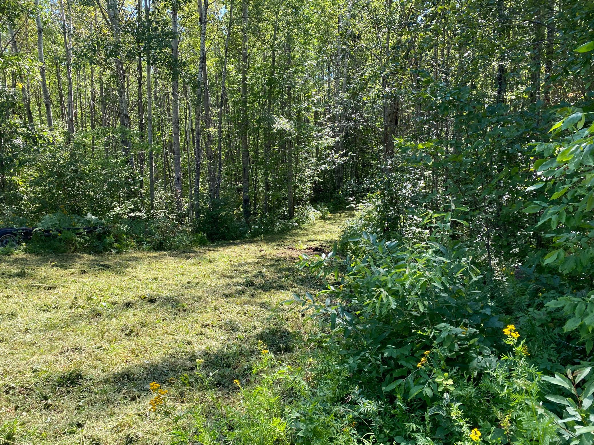 land for sale at TBD Buck Dr. in Bovey, MN (photo 8 of 33)