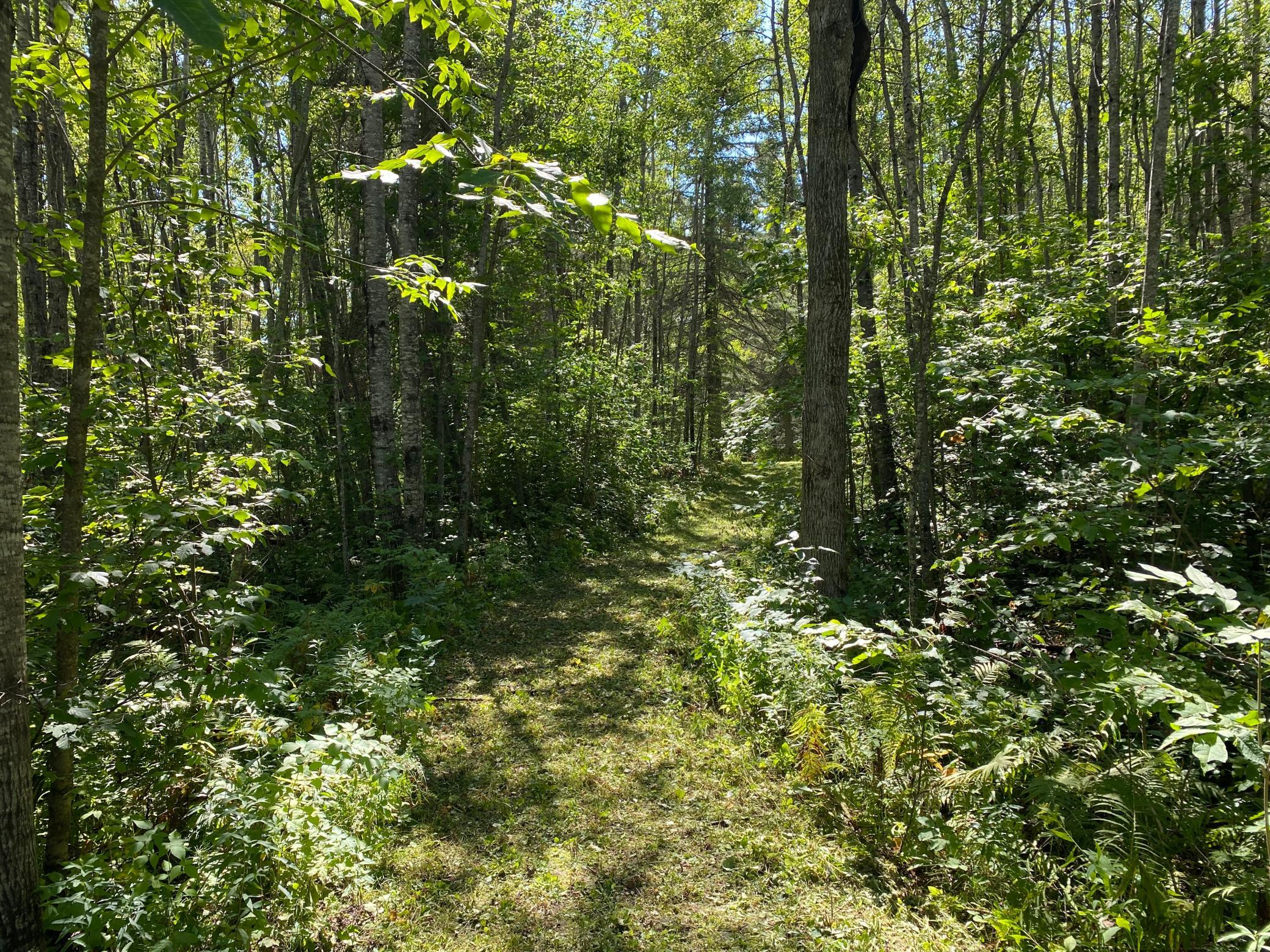 land for sale at TBD Buck Dr. in Bovey, MN (photo 9 of 33)