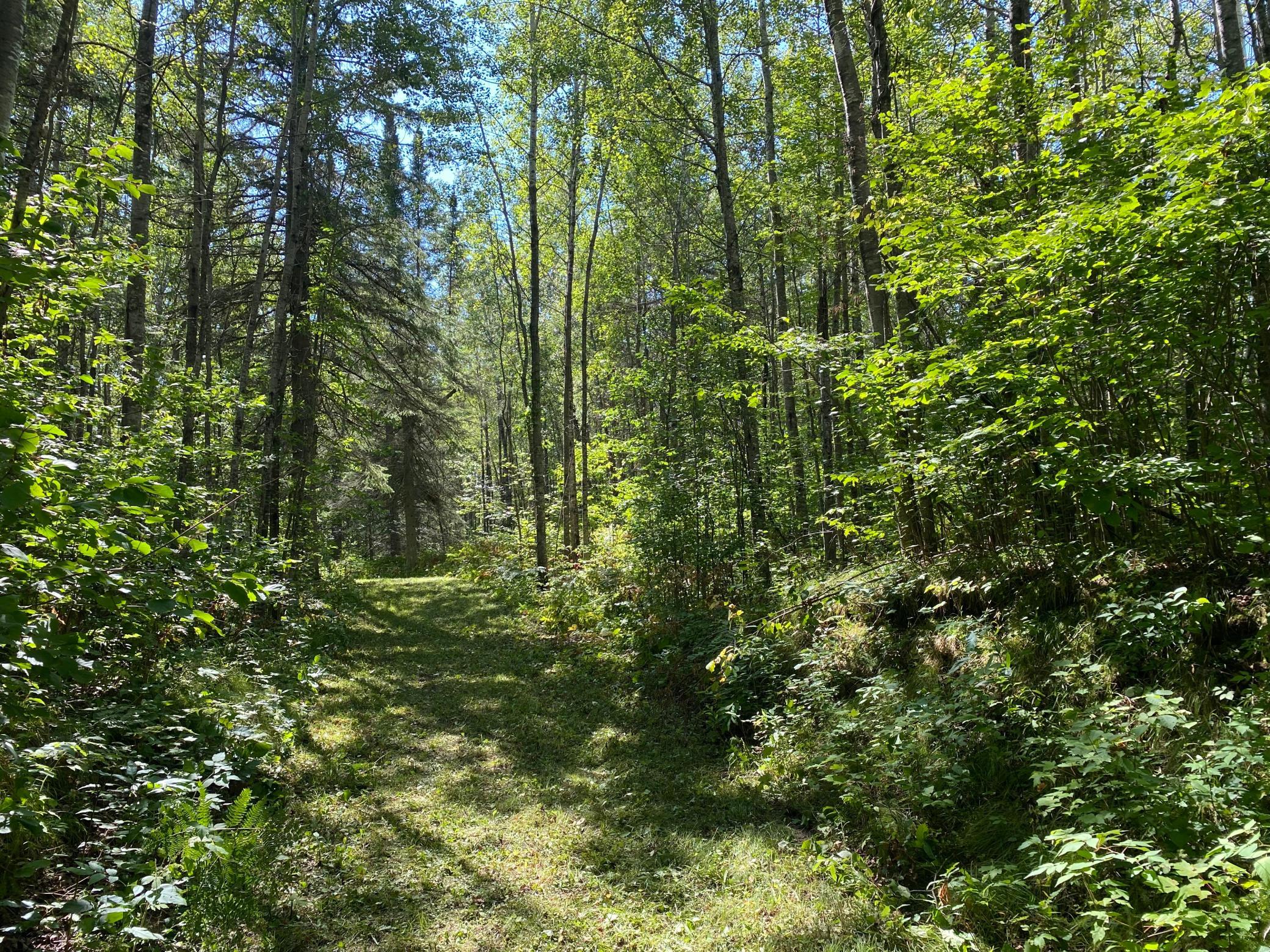 land for sale at TBD Buck Dr. in Bovey, MN (photo 10 of 33)