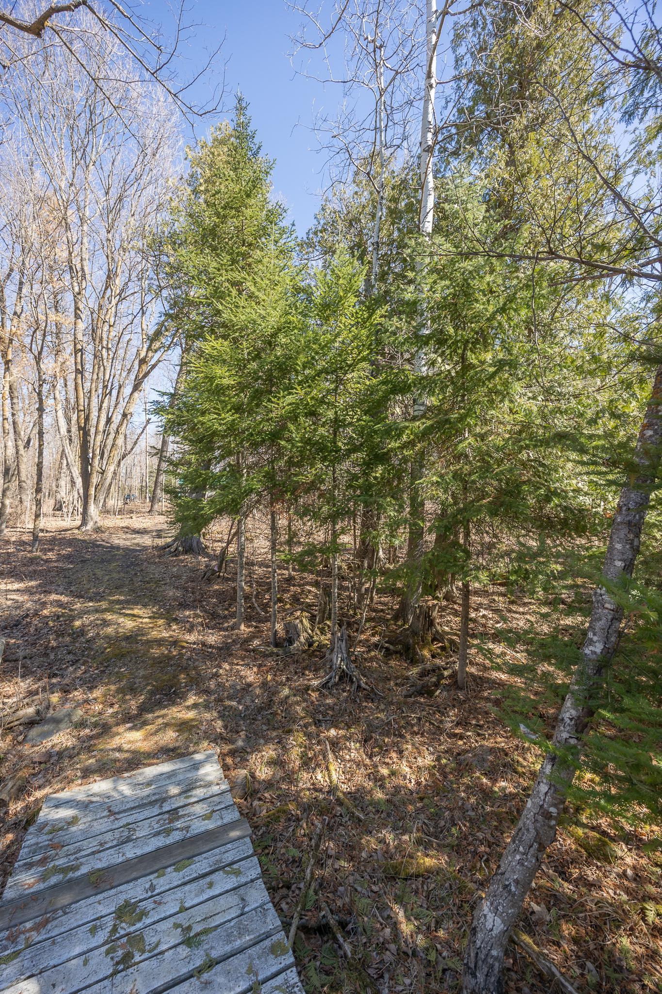 2665 N Boy Lake Trail NE, Remer MN 56672 - Photo 39 of 46