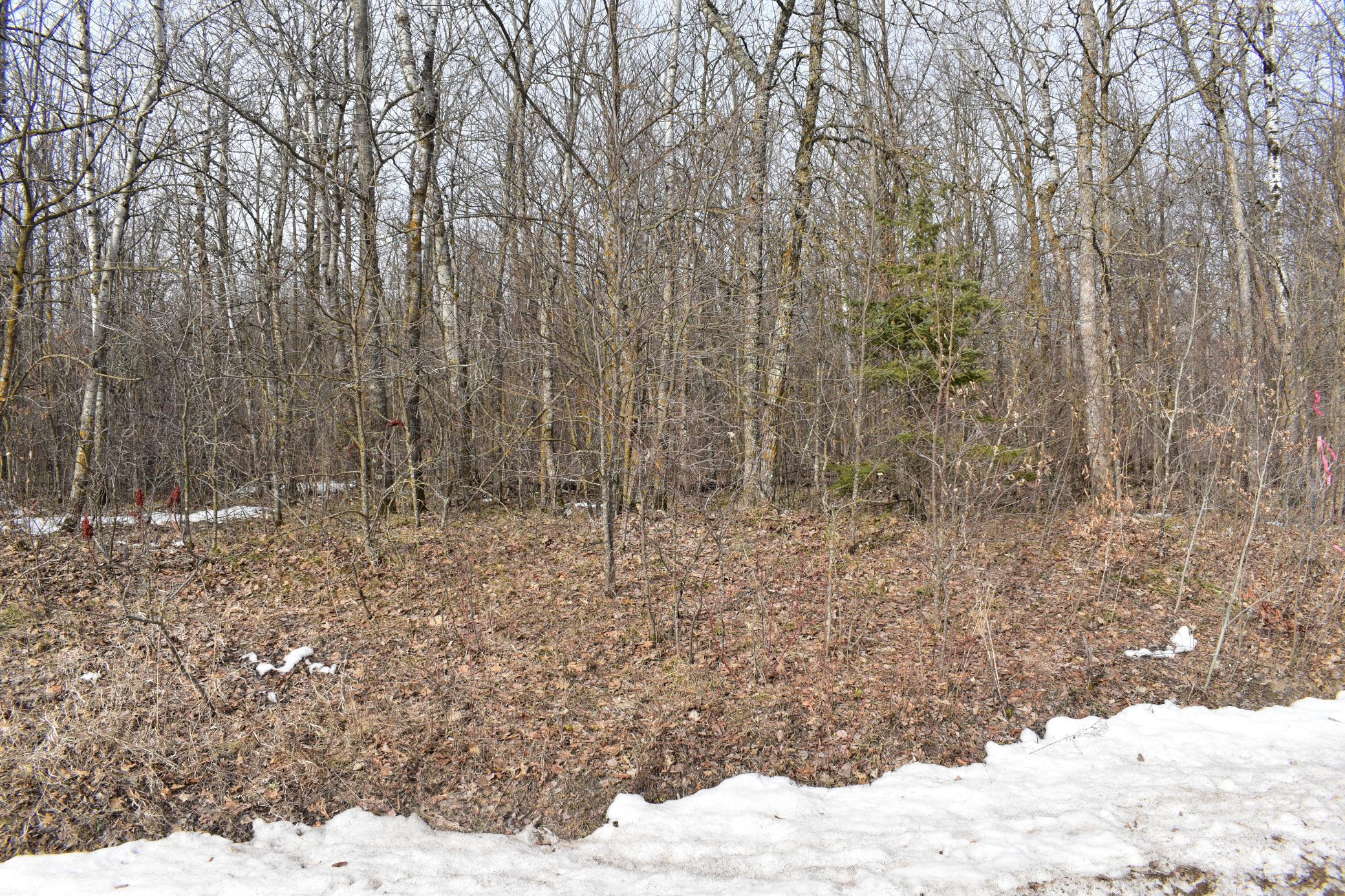 land for sale at county road 4 county road 4 in Waubun, MN (photo 5 of 7)