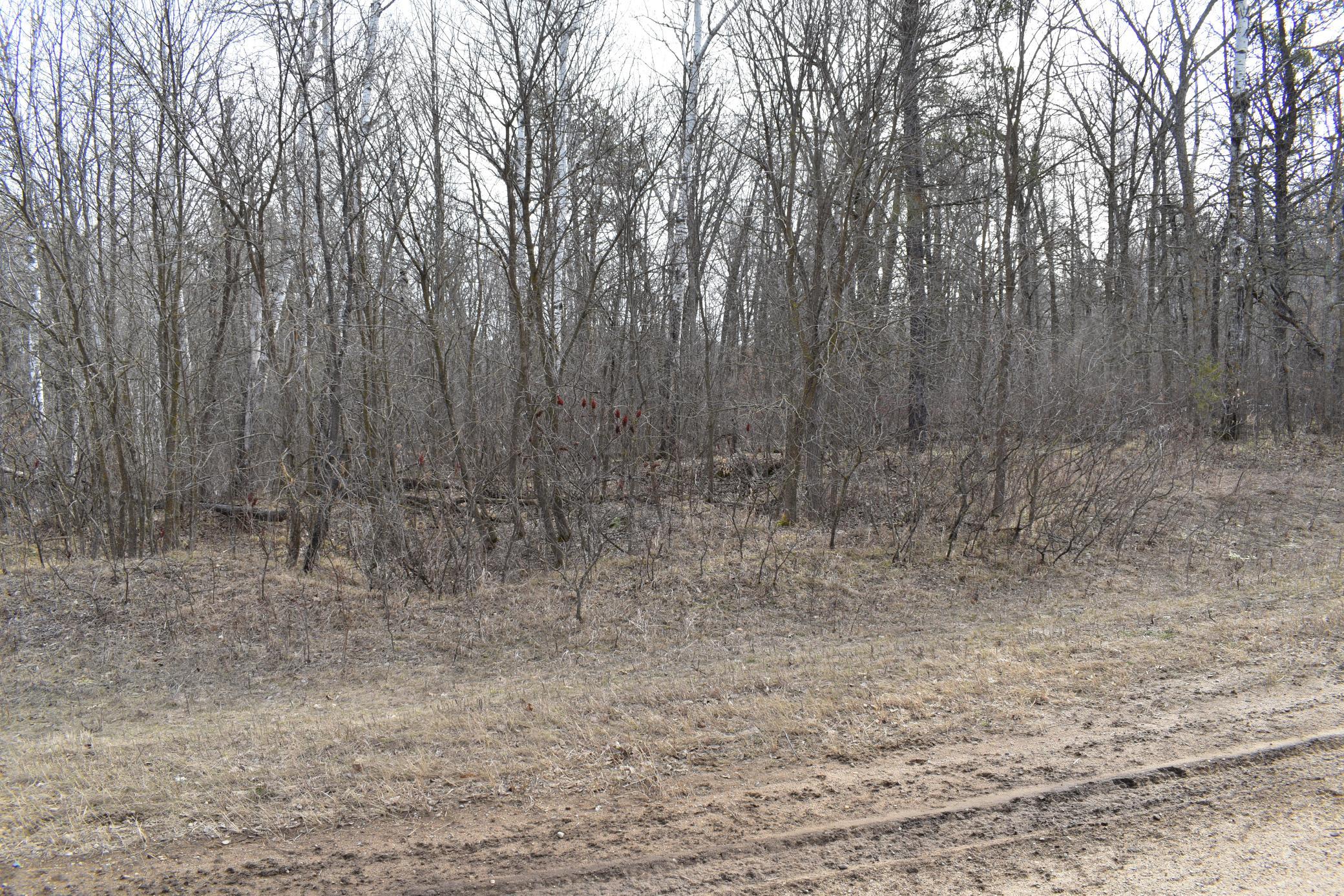 land for sale at county road 4 county road 4 in Waubun, MN (photo 6 of 7)