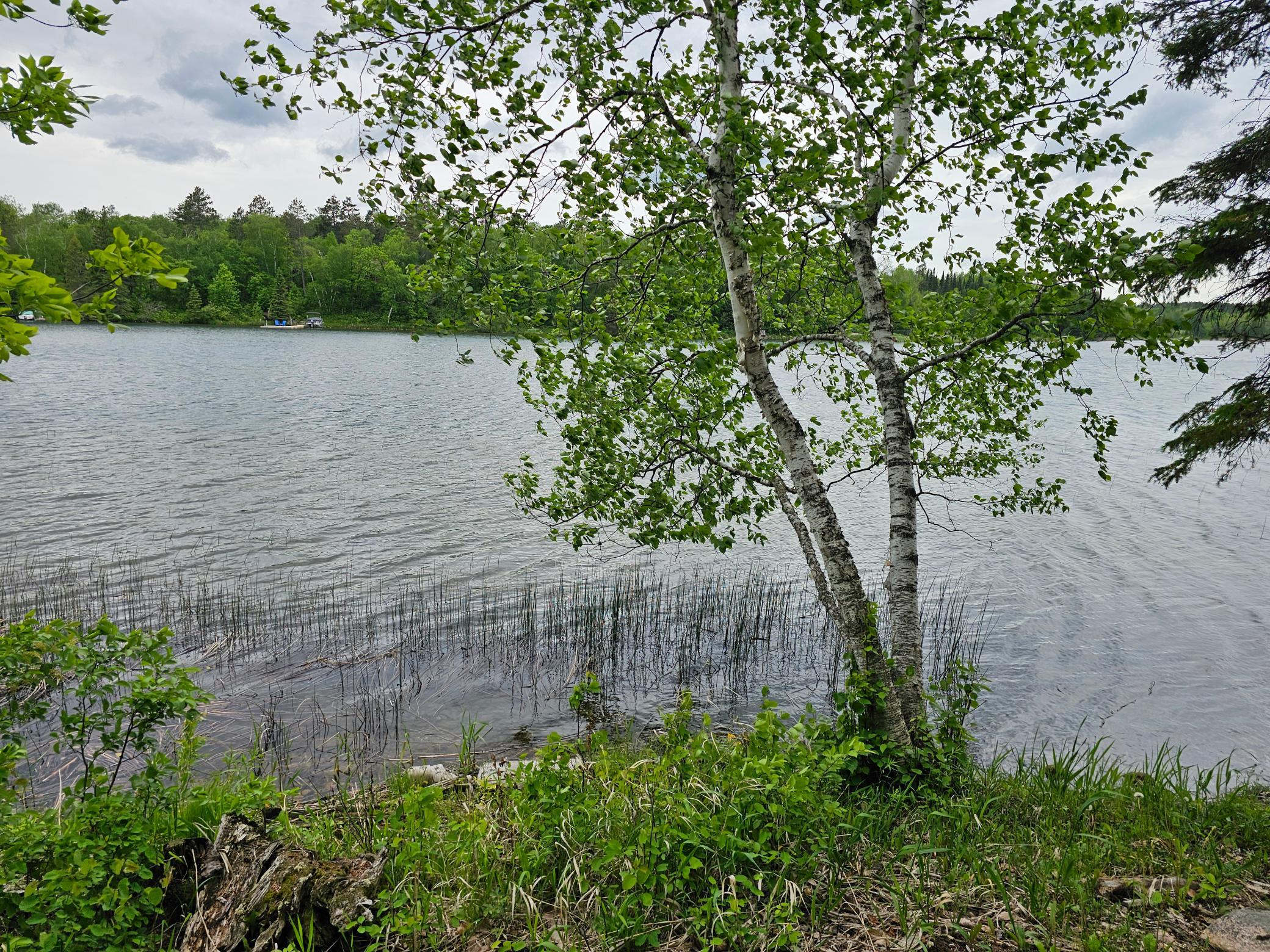 2007 single family home for sale at 35365 E Boot Lake Road in Park Rapids, MN — 4 bed, 3 bath (photo 54 of 87)