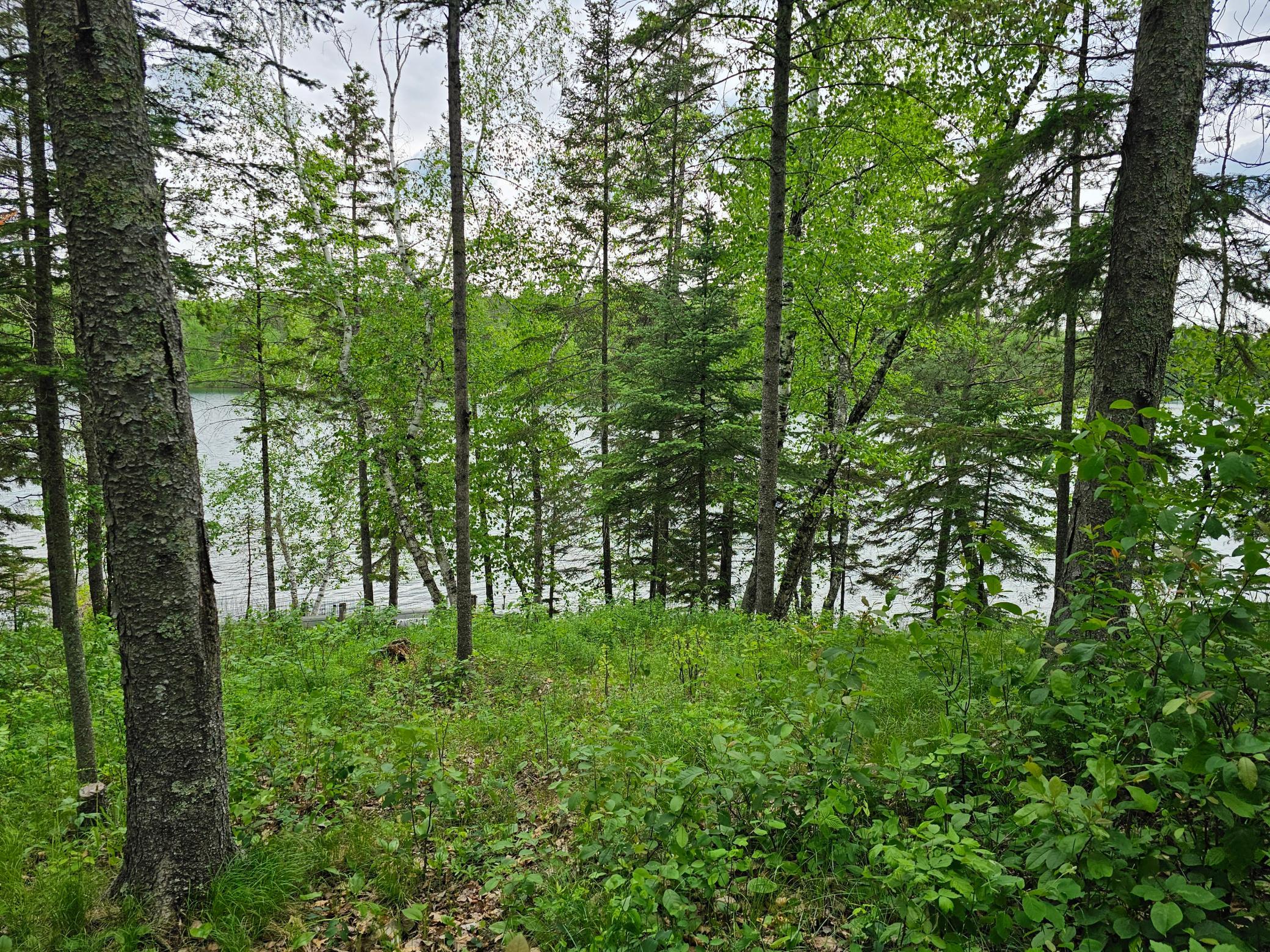 2007 single family home for sale at 35365 E Boot Lake Road in Park Rapids, MN — 4 bed, 3 bath (photo 59 of 87)