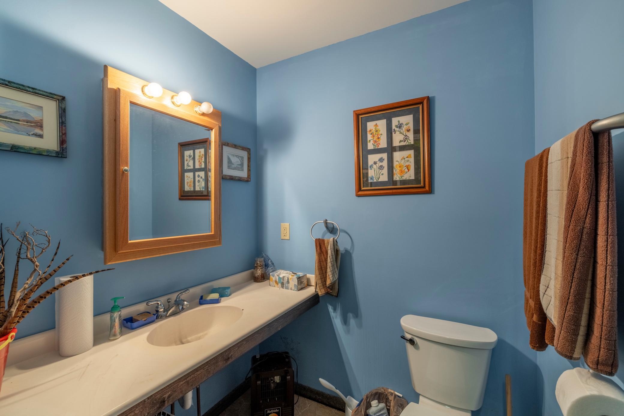 2007 single family home for sale at 35365 E Boot Lake Road in Park Rapids, MN — 4 bed, 3 bath (photo 83 of 87)