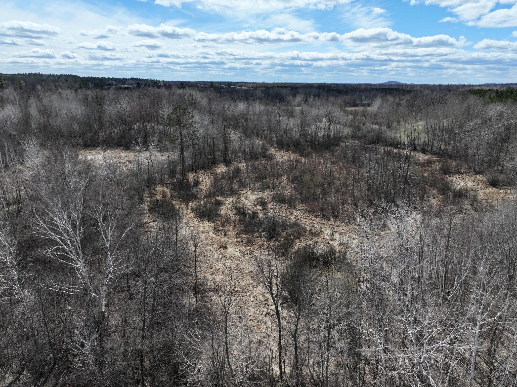 land for sale at TBD Bass Lake Road in Osage, MN (photo 2 of 30)