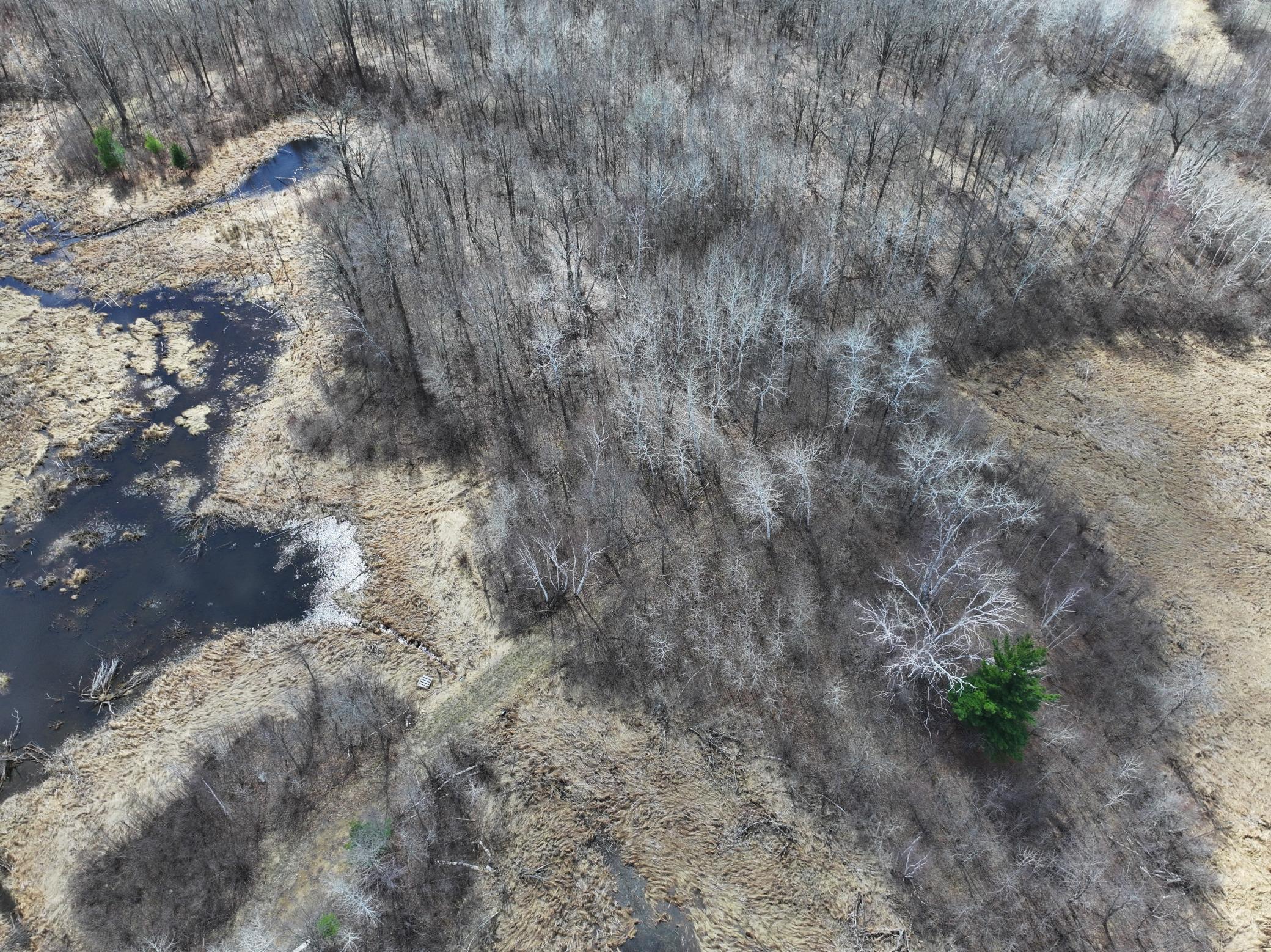 land for sale at TBD Bass Lake Road in Osage, MN (photo 11 of 30)