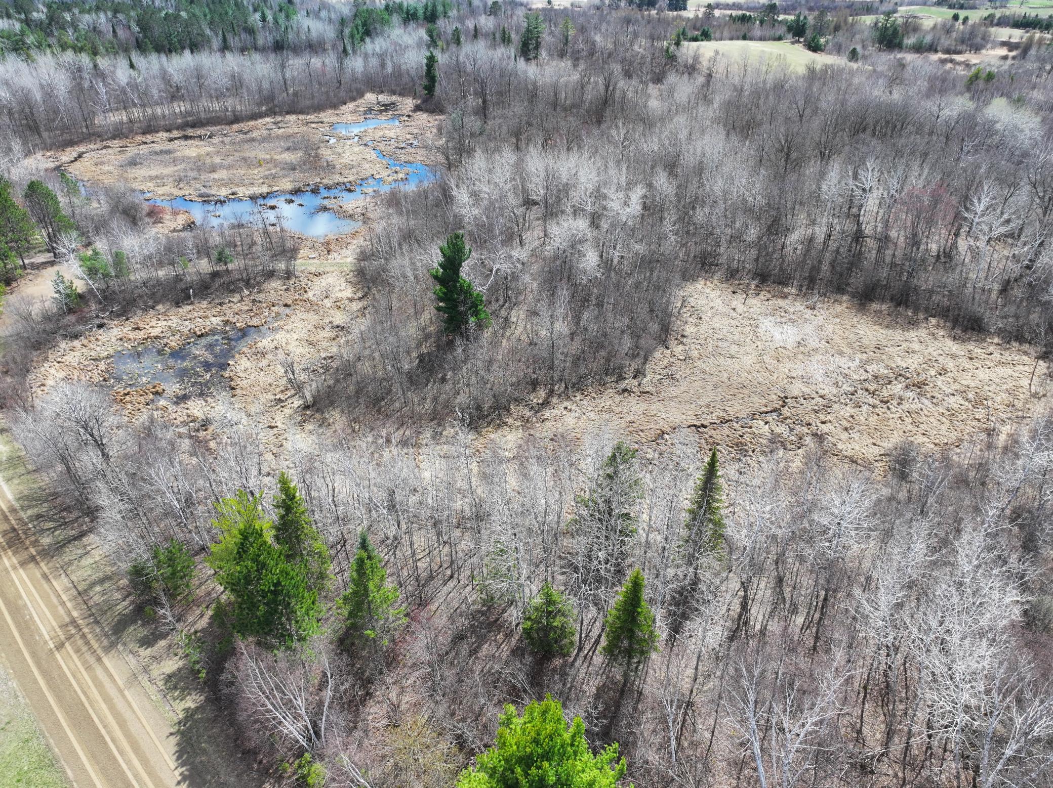 land for sale at TBD Bass Lake Road in Osage, MN (photo 14 of 30)