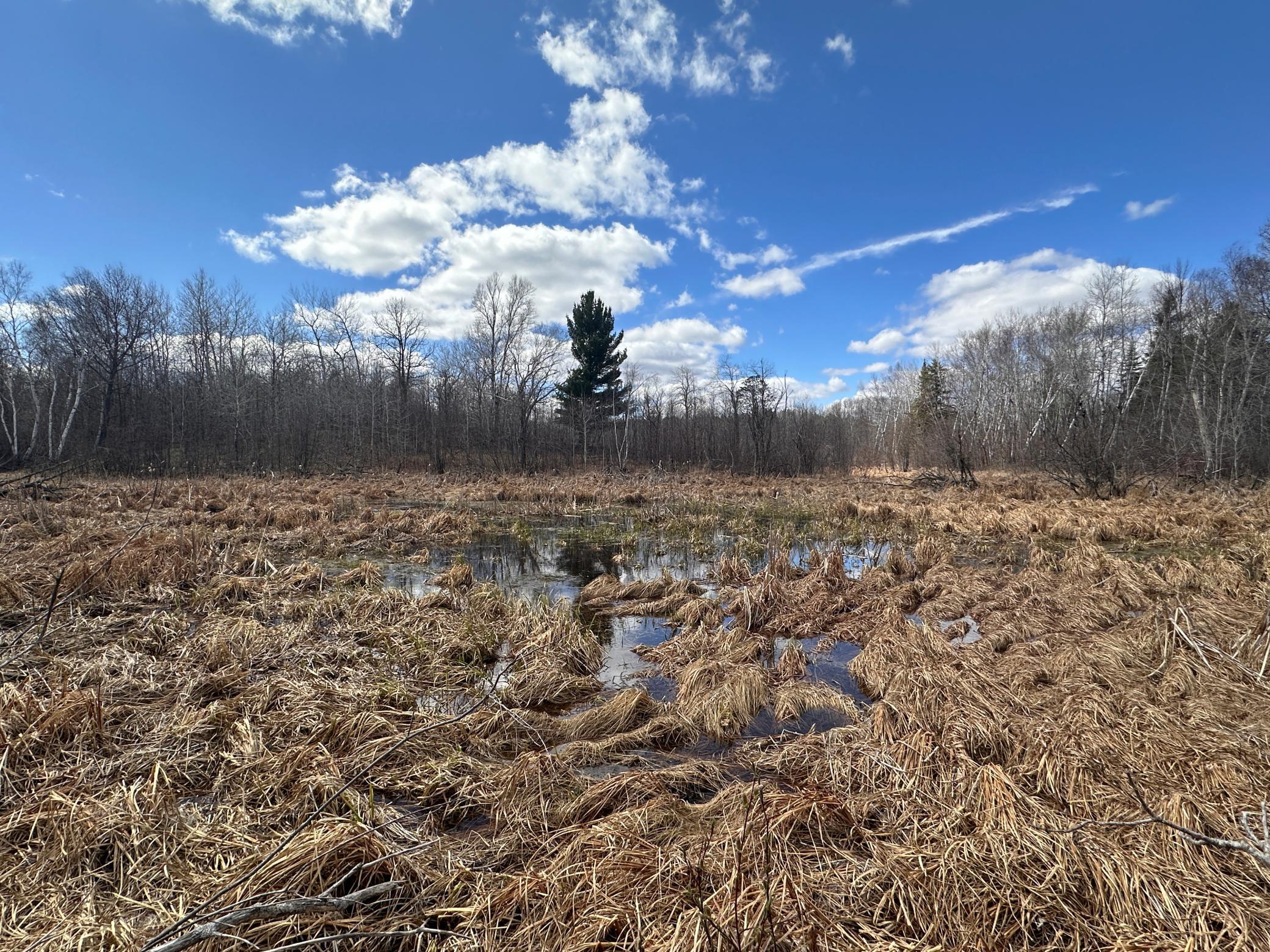 land for sale at TBD Bass Lake Road in Osage, MN (photo 15 of 30)