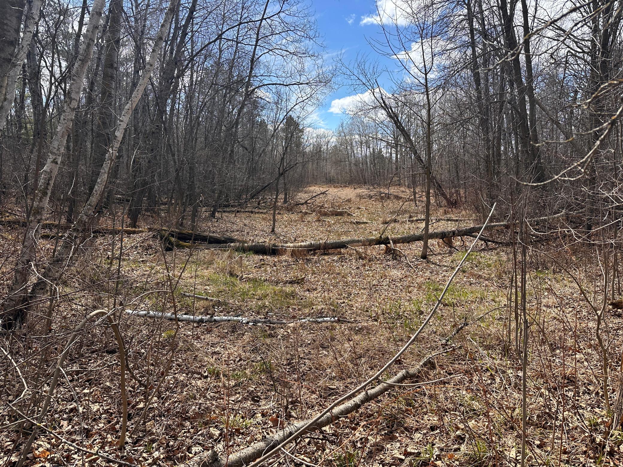 land for sale at TBD Bass Lake Road in Osage, MN (photo 16 of 30)