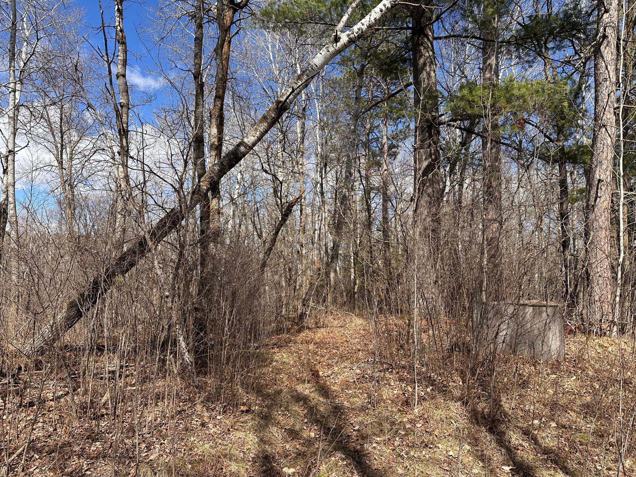 land for sale at TBD Bass Lake Road in Osage, MN (photo 19 of 30)