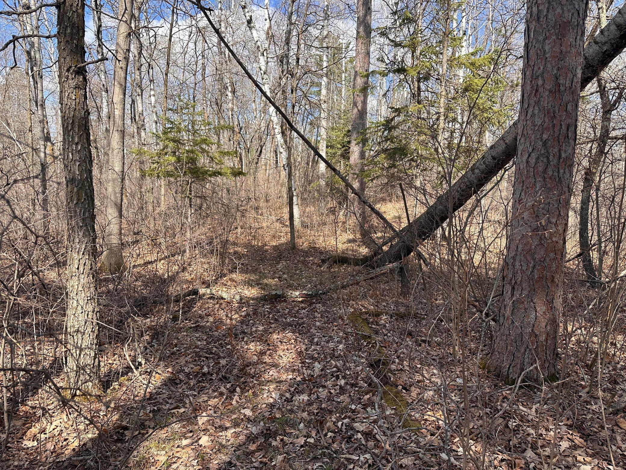 land for sale at TBD Bass Lake Road in Osage, MN (photo 20 of 30)
