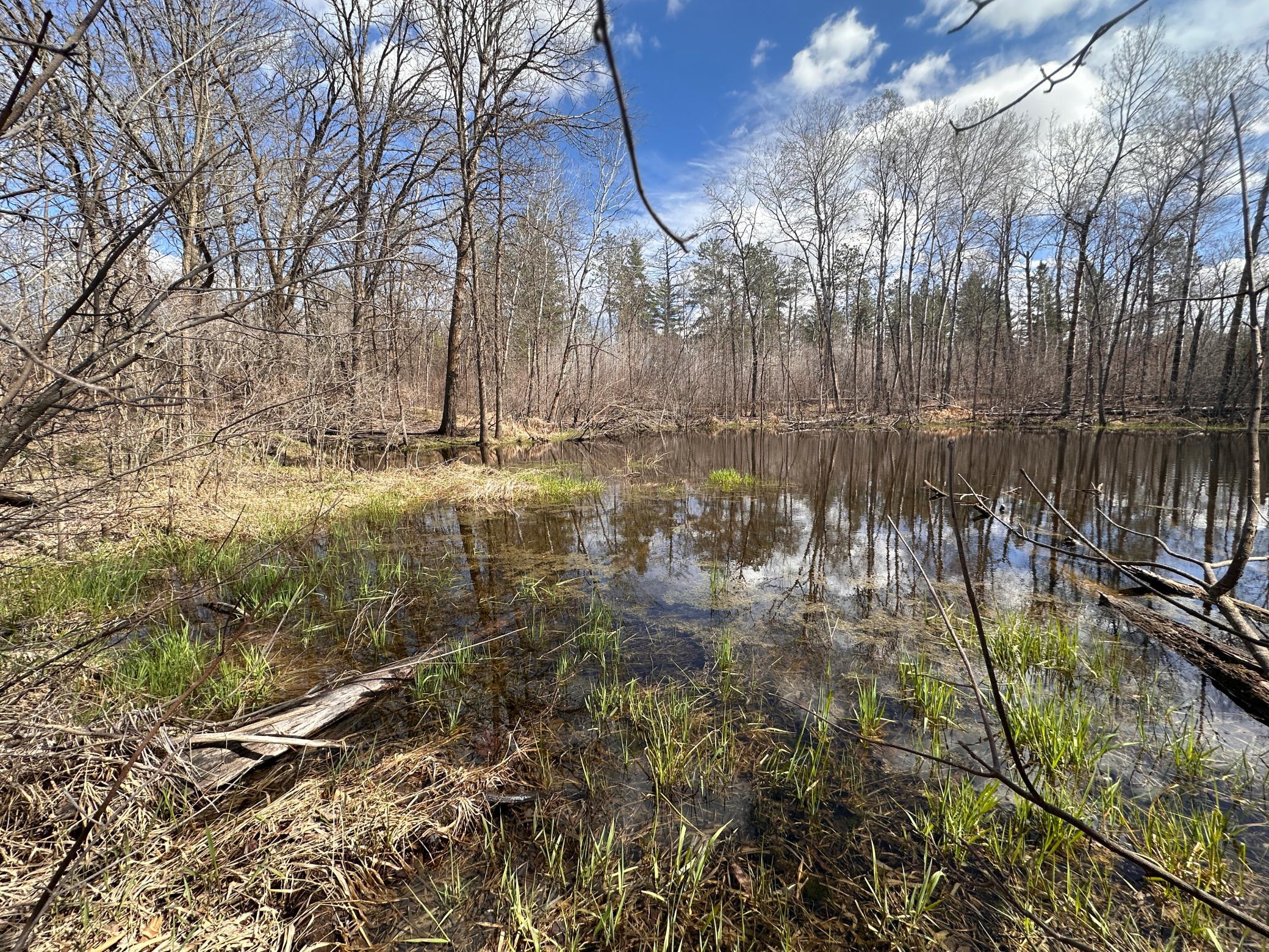 land for sale at TBD Bass Lake Road in Osage, MN (photo 21 of 30)