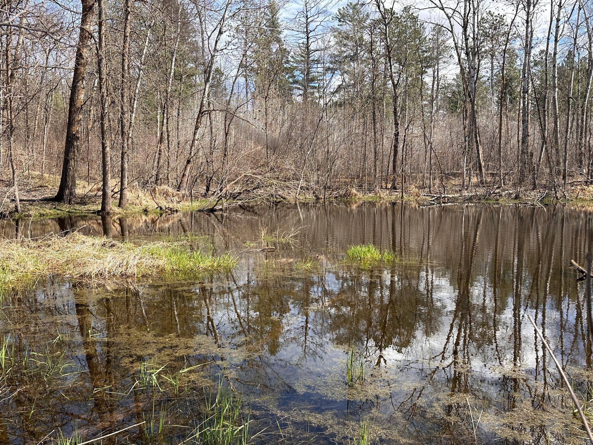 land for sale at TBD Bass Lake Road in Osage, MN (photo 22 of 30)
