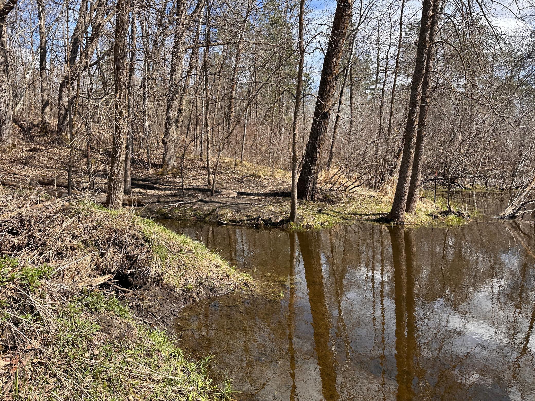land for sale at TBD Bass Lake Road in Osage, MN (photo 23 of 30)