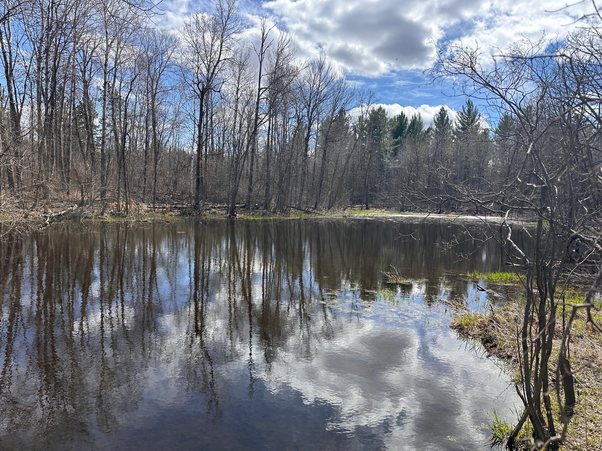 land for sale at TBD Bass Lake Road in Osage, MN (photo 24 of 30)