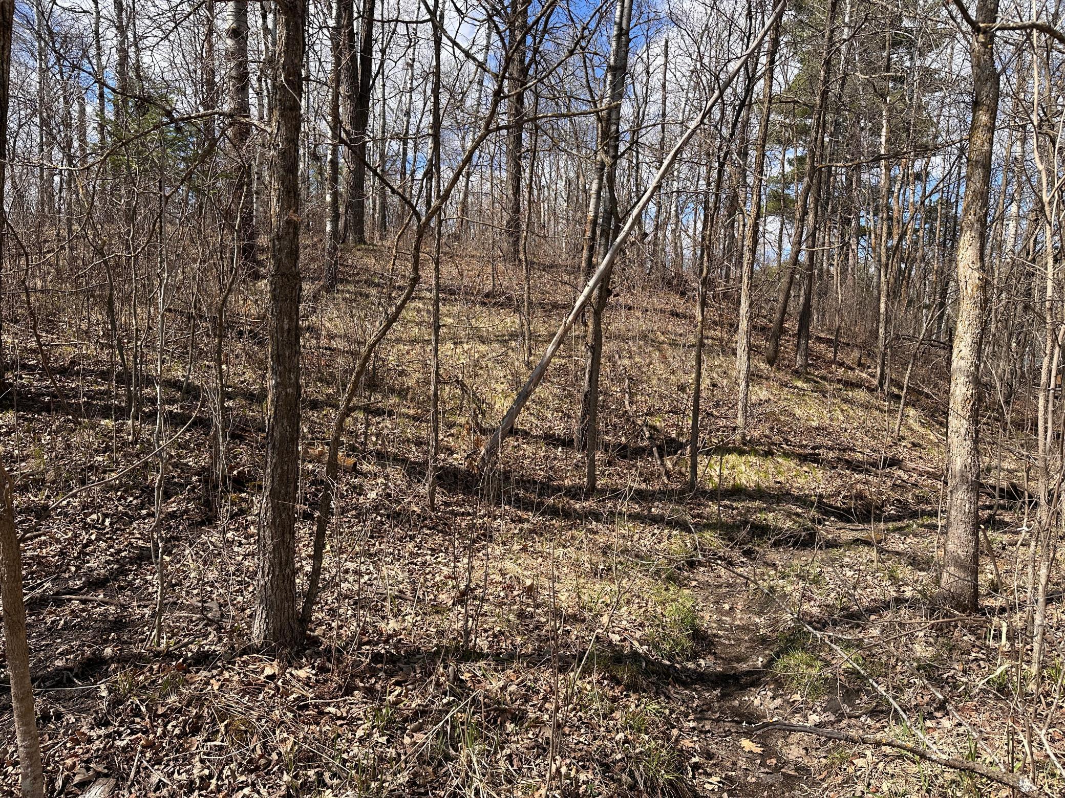 land for sale at TBD Bass Lake Road in Osage, MN (photo 25 of 30)