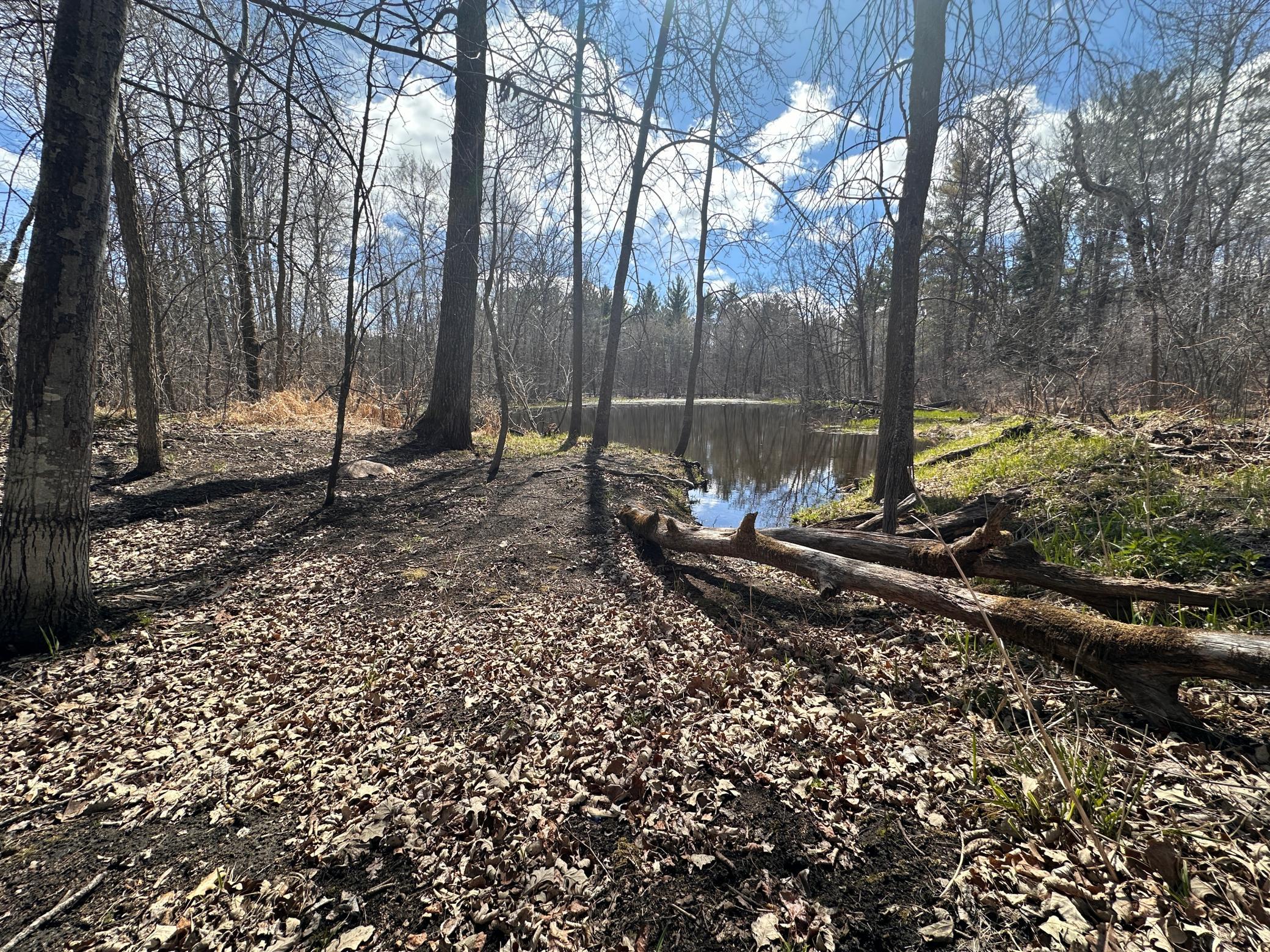 land for sale at TBD Bass Lake Road in Osage, MN (photo 26 of 30)