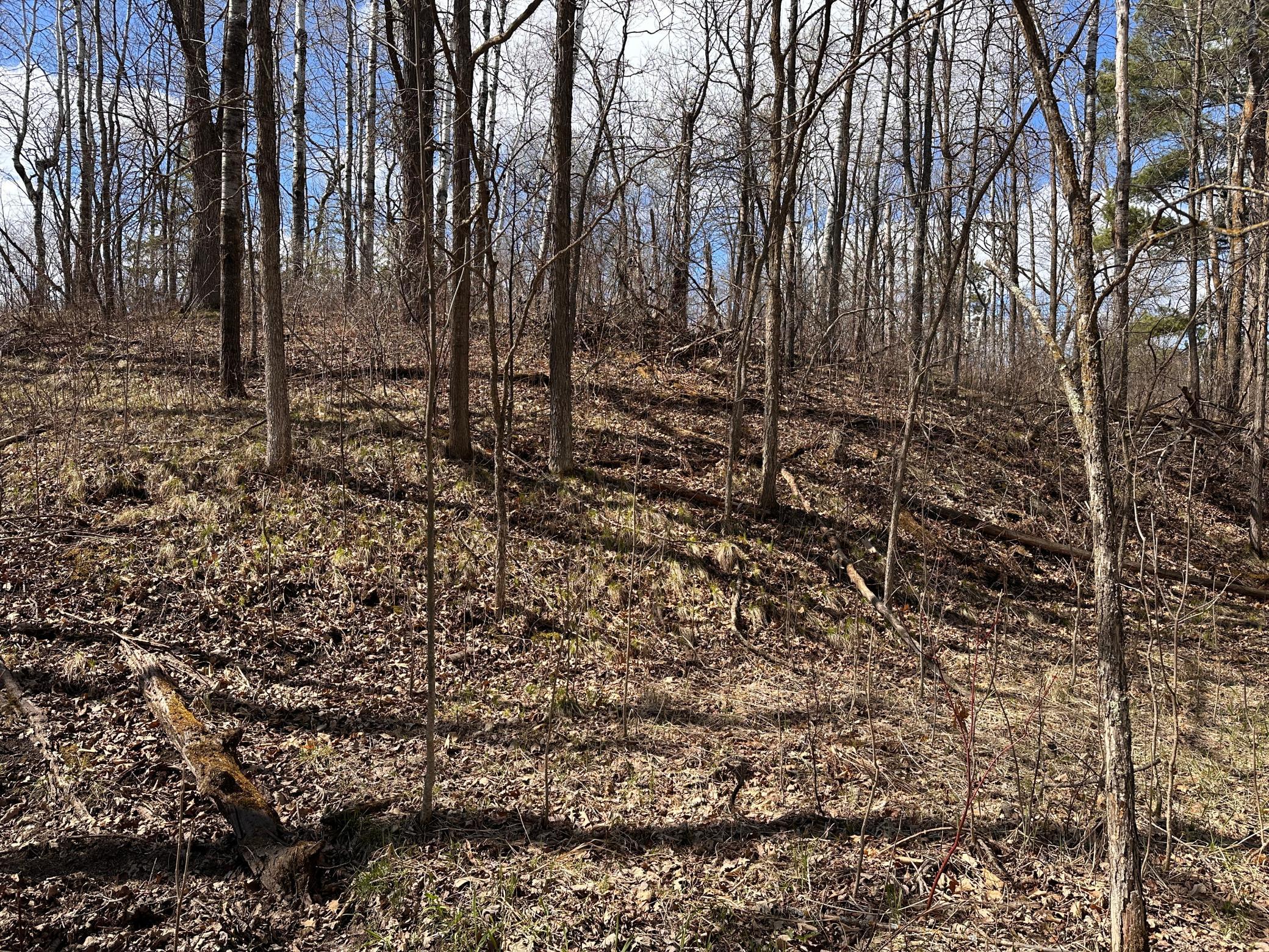 land for sale at TBD Bass Lake Road in Osage, MN (photo 27 of 30)