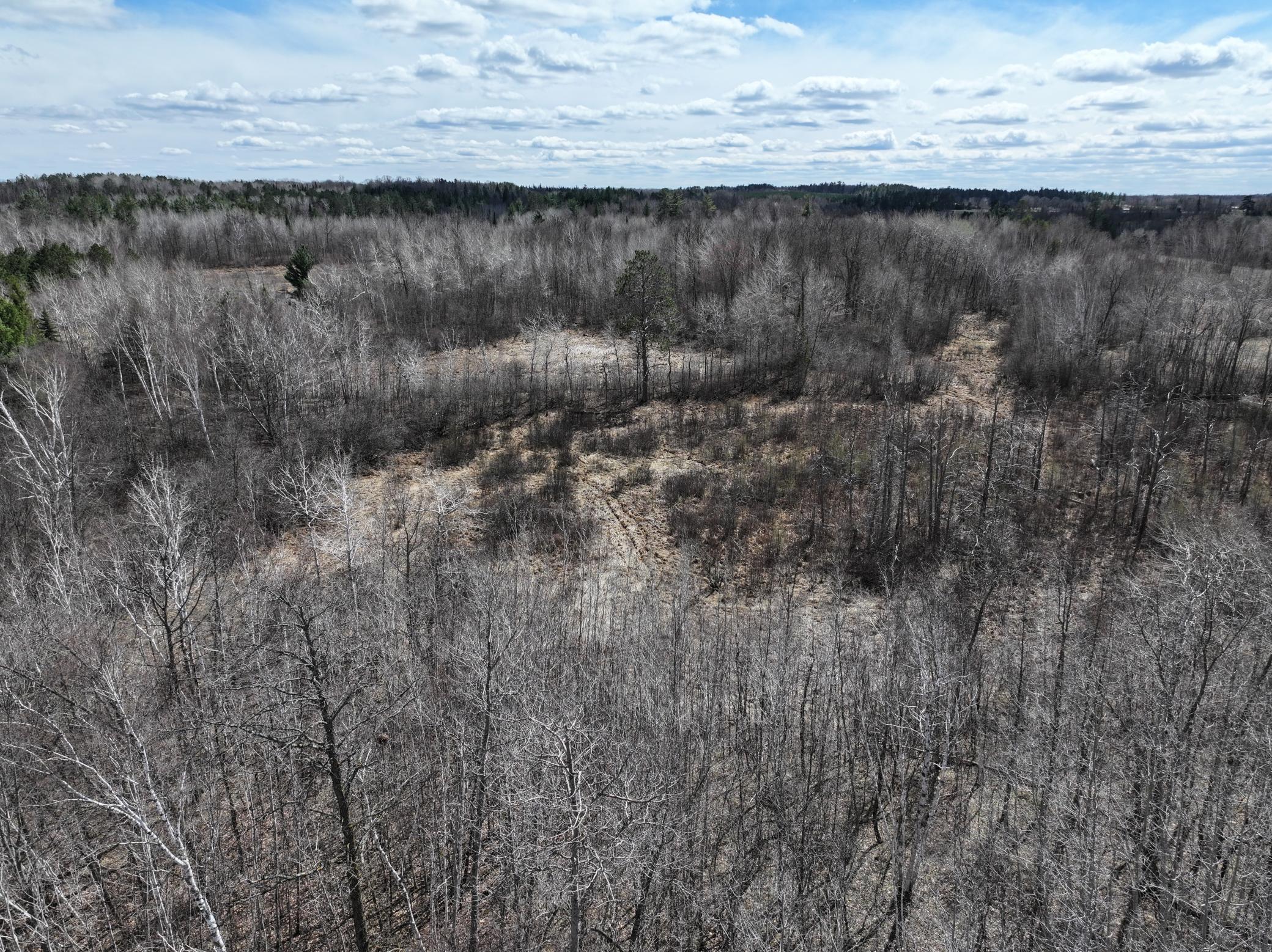 land for sale at TBD Bass Lake Road in Osage, MN (photo 4 of 30)