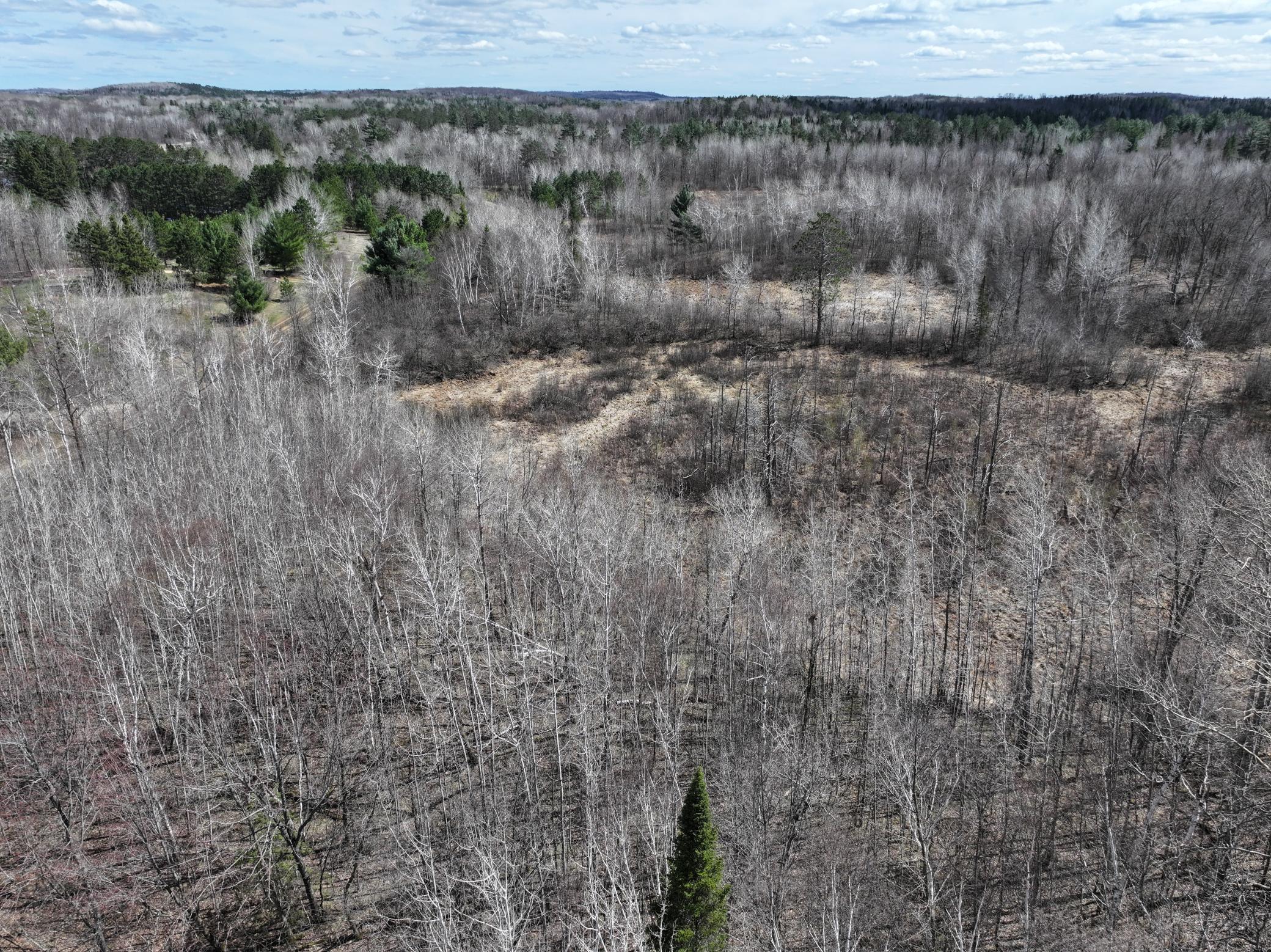 land for sale at TBD Bass Lake Road in Osage, MN (photo 5 of 30)