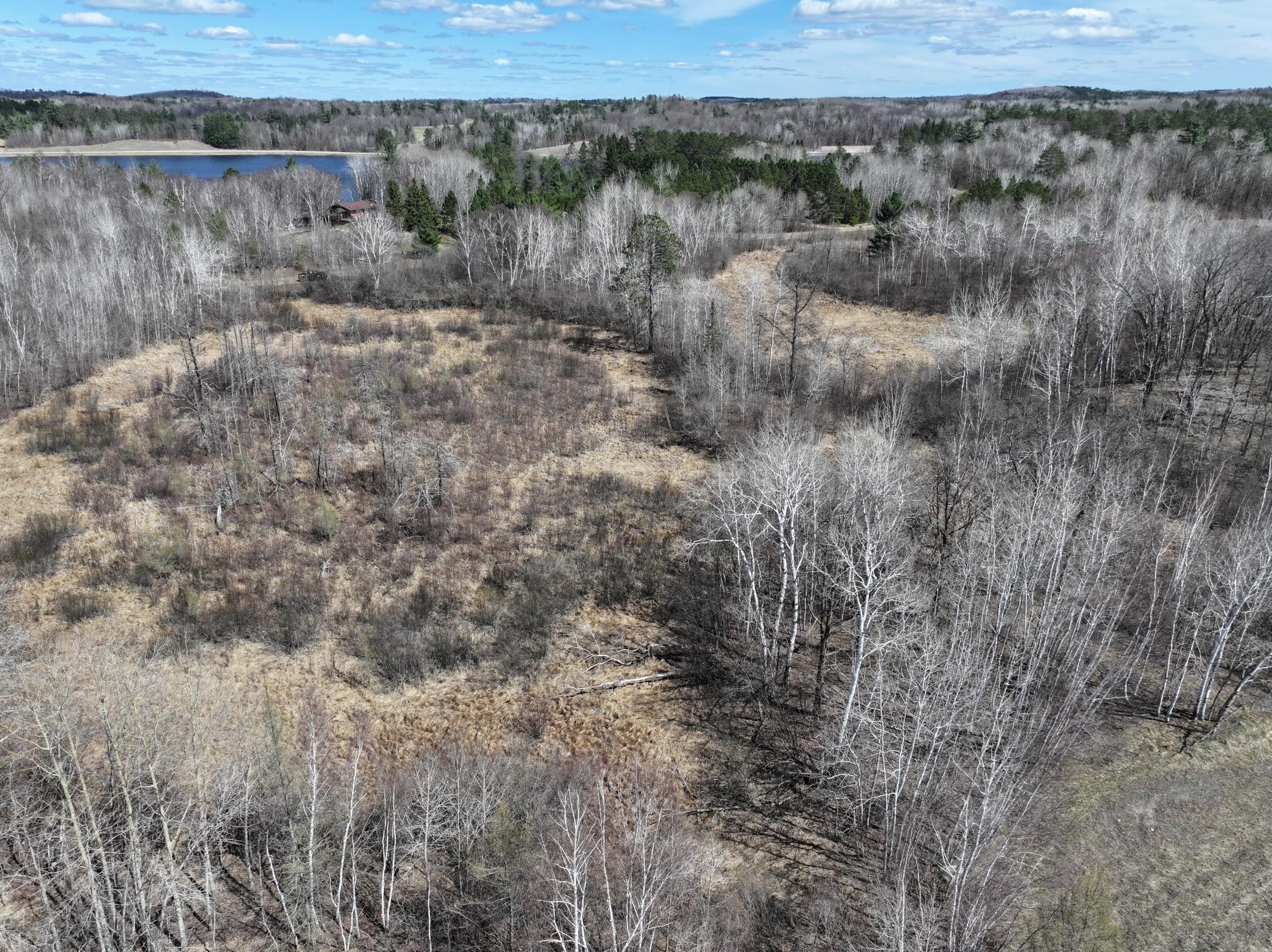 land for sale at TBD Bass Lake Road in Osage, MN (photo 6 of 30)