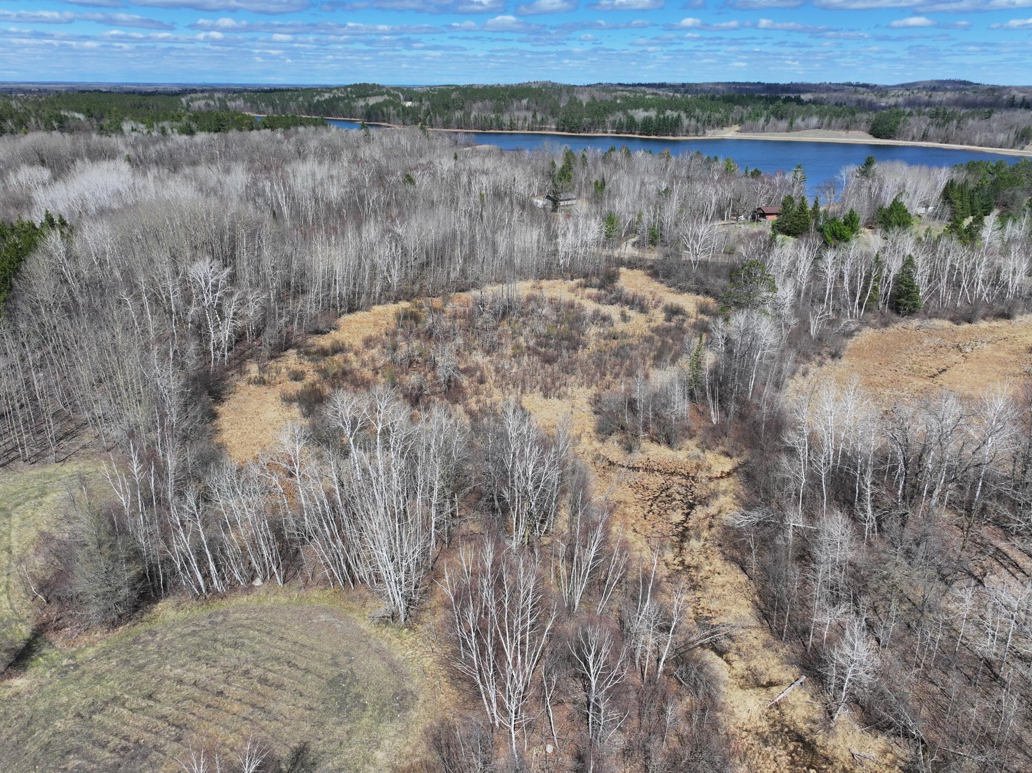 land for sale at TBD Bass Lake Road in Osage, MN (photo 7 of 30)